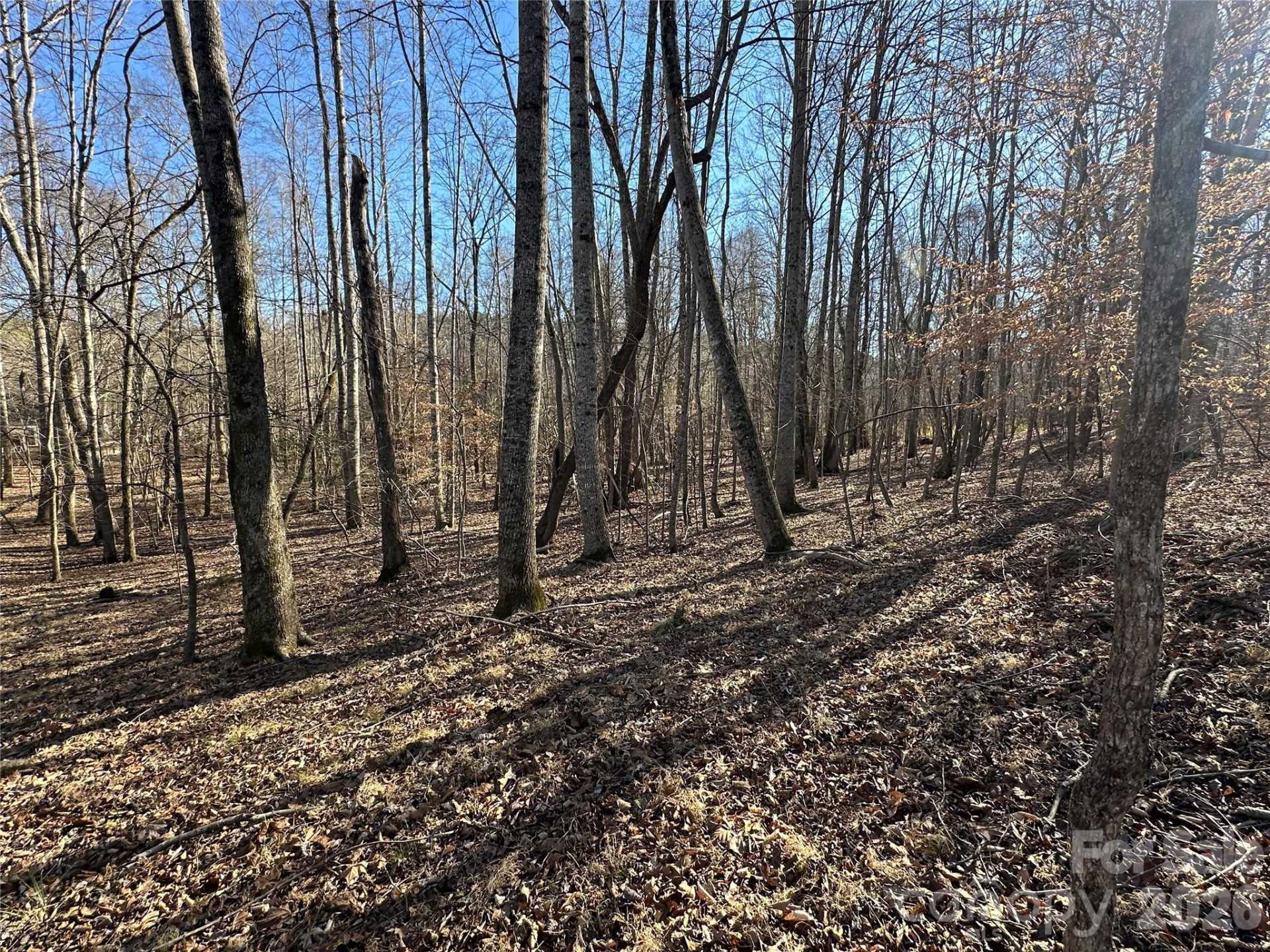 99999 River Crest Parkway - Photo 10