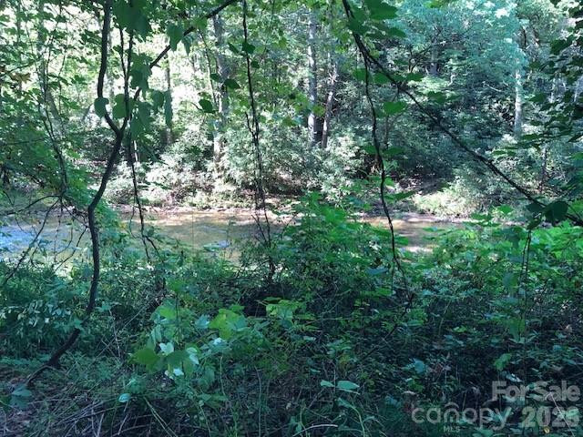 000 Moonshine Trail #19 - Photo 3