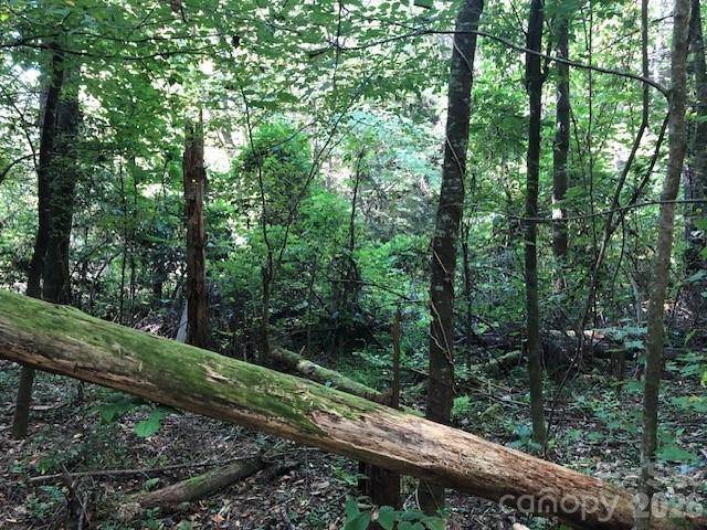 000 Moonshine Trail #19 - Photo 7