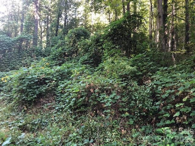 000 Moonshine Trail #19 - Photo 8