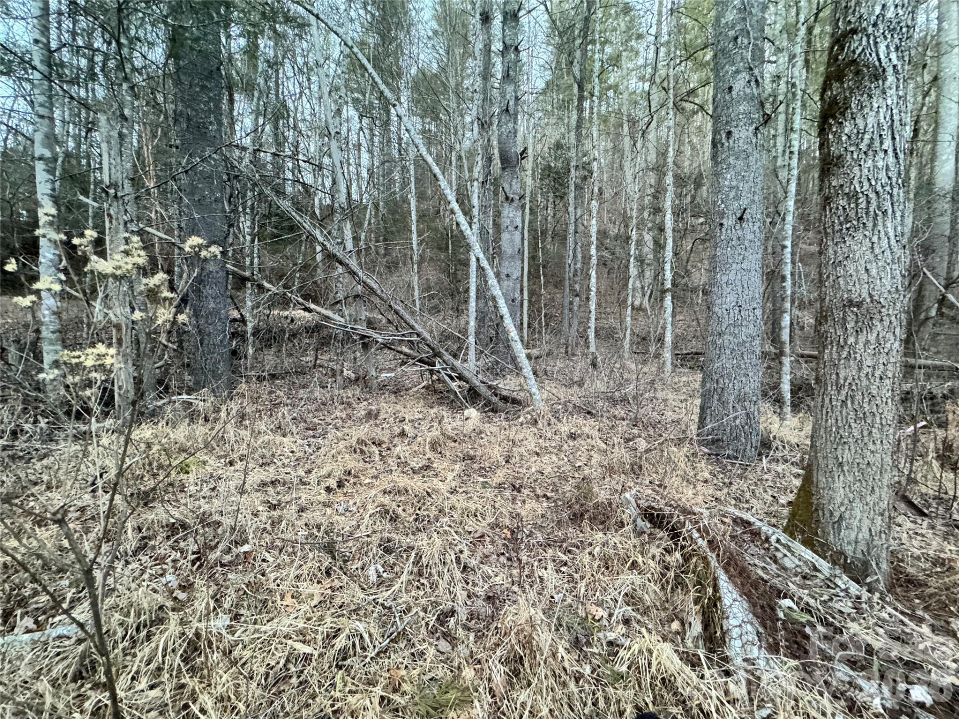 000 Moonshine Trail #19 - Photo 10