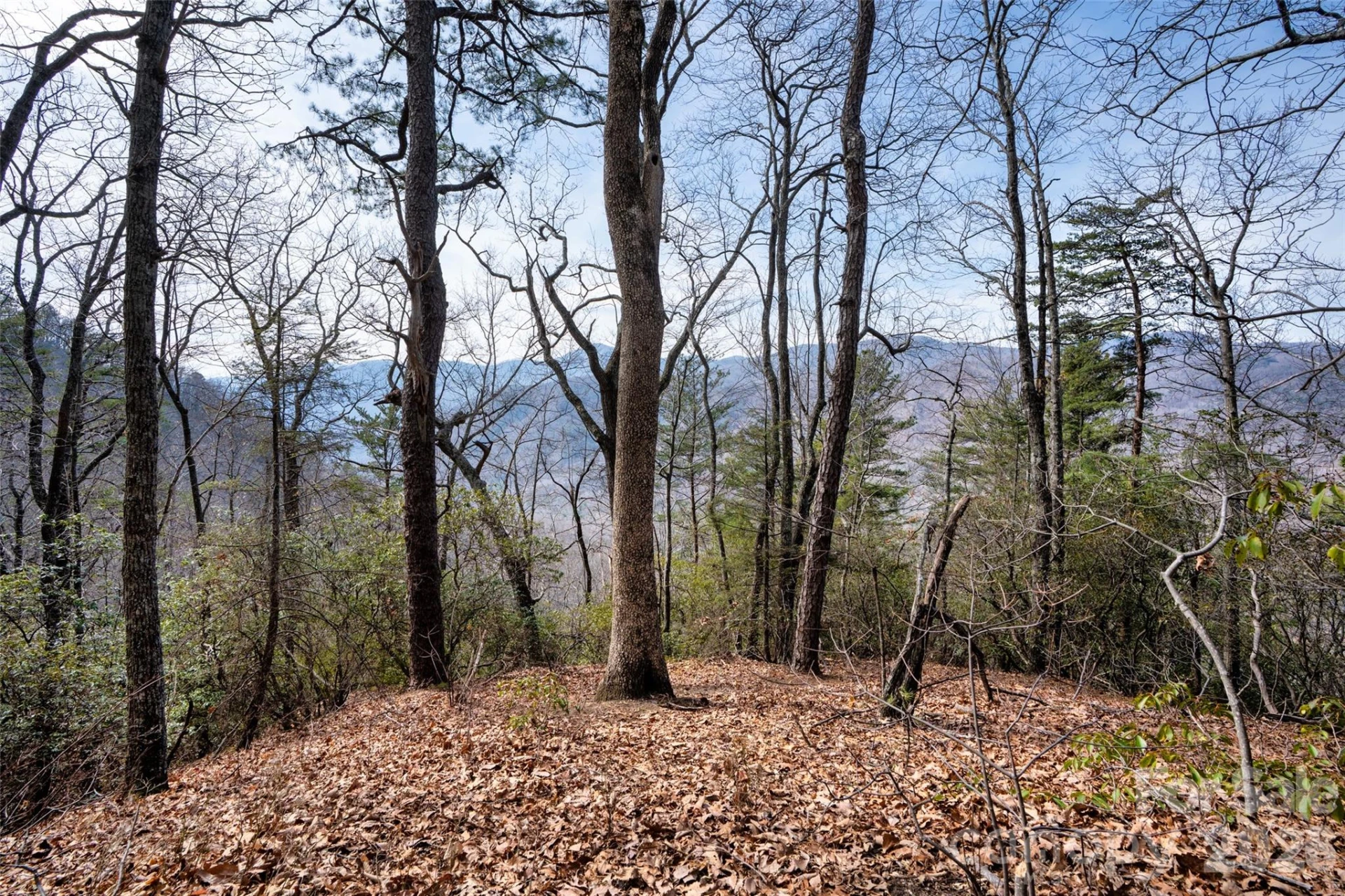 0 Rachel Ridge - Photo 2