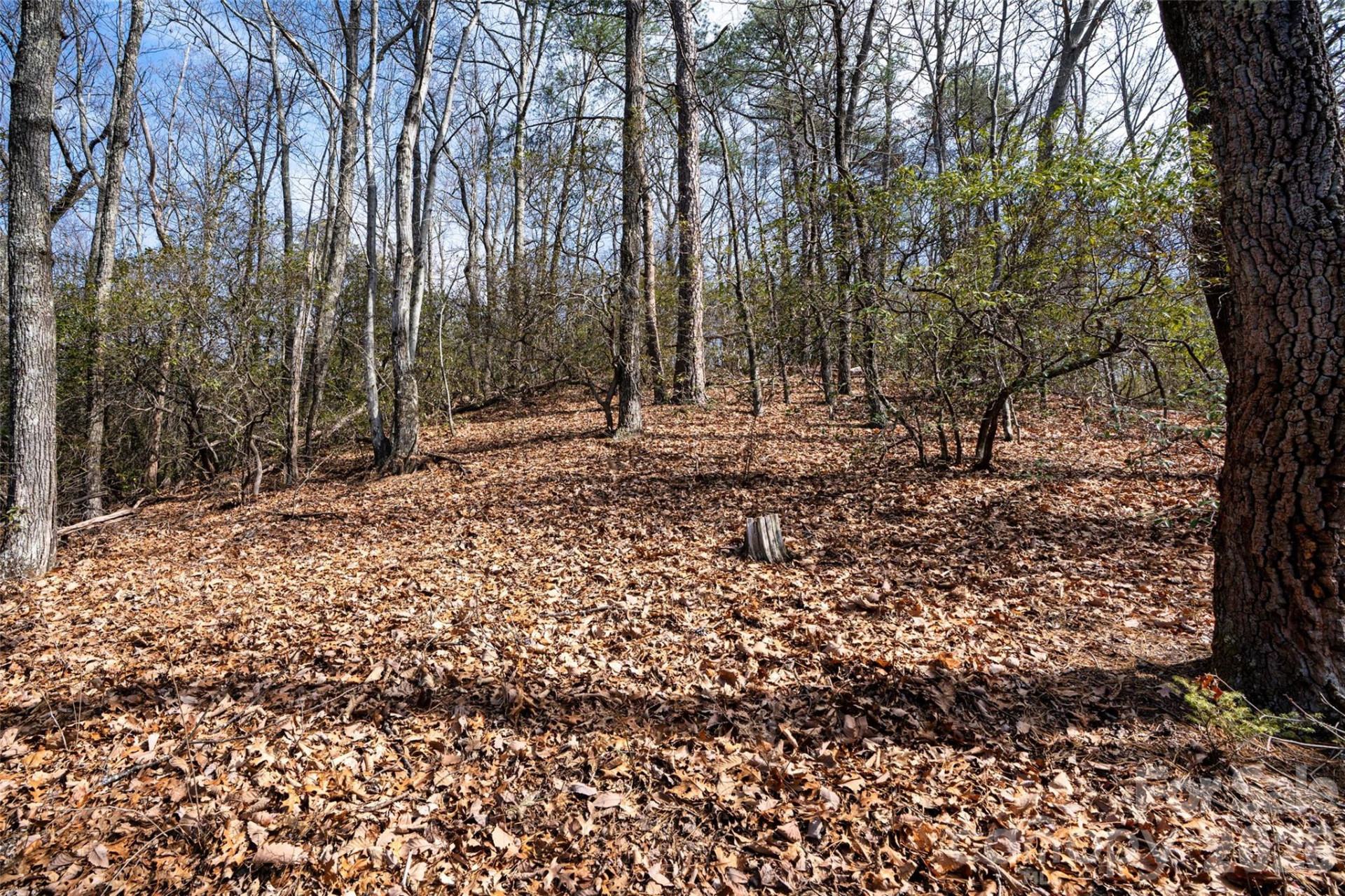 0 Rachel Ridge - Photo 11