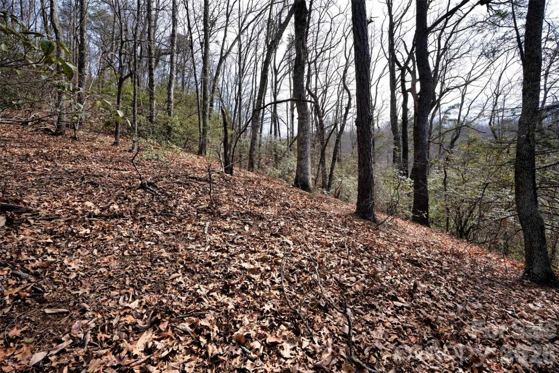 0 Rachel Ridge - Photo 12