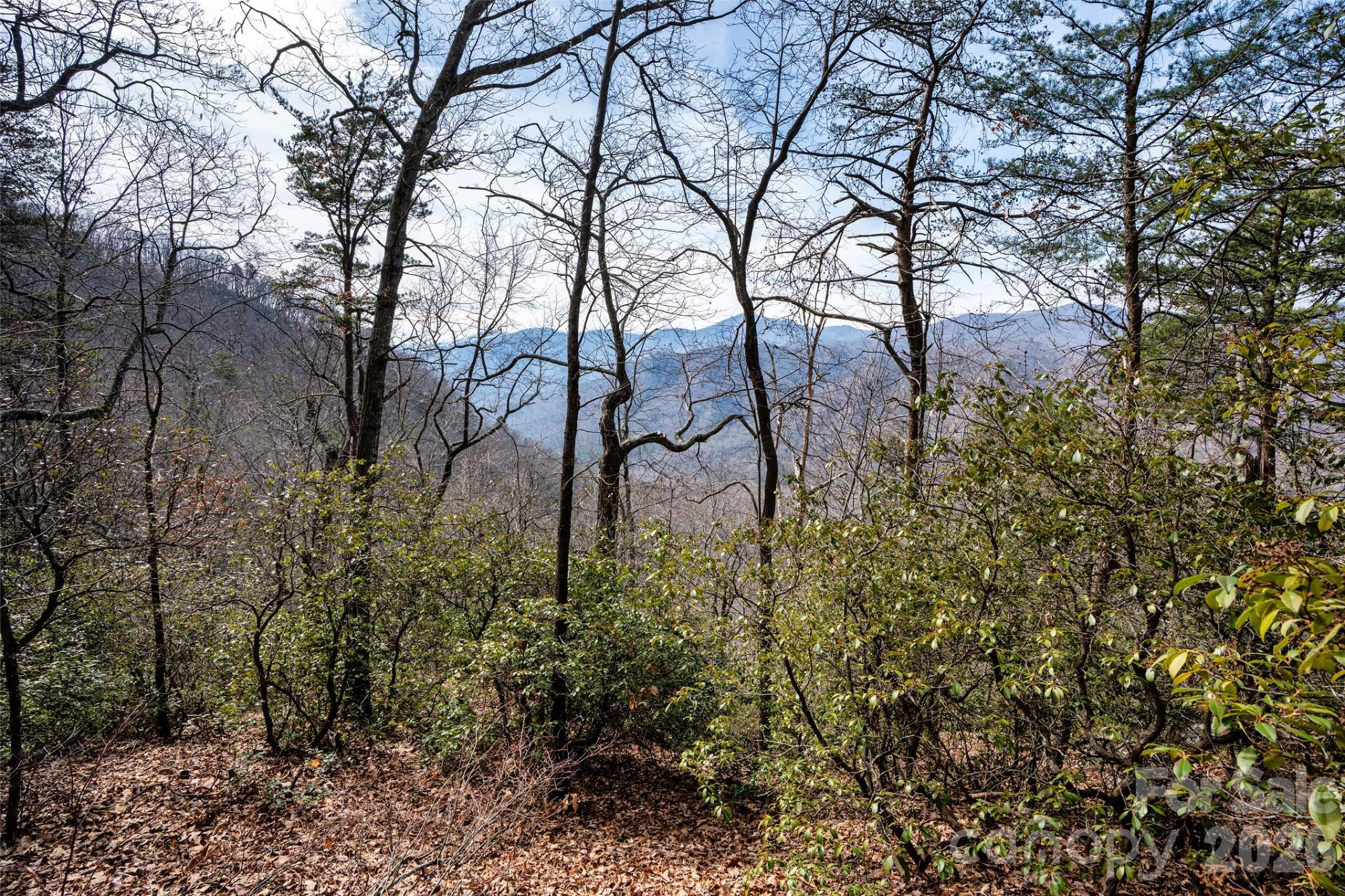 0 Rachel Ridge - Photo 13