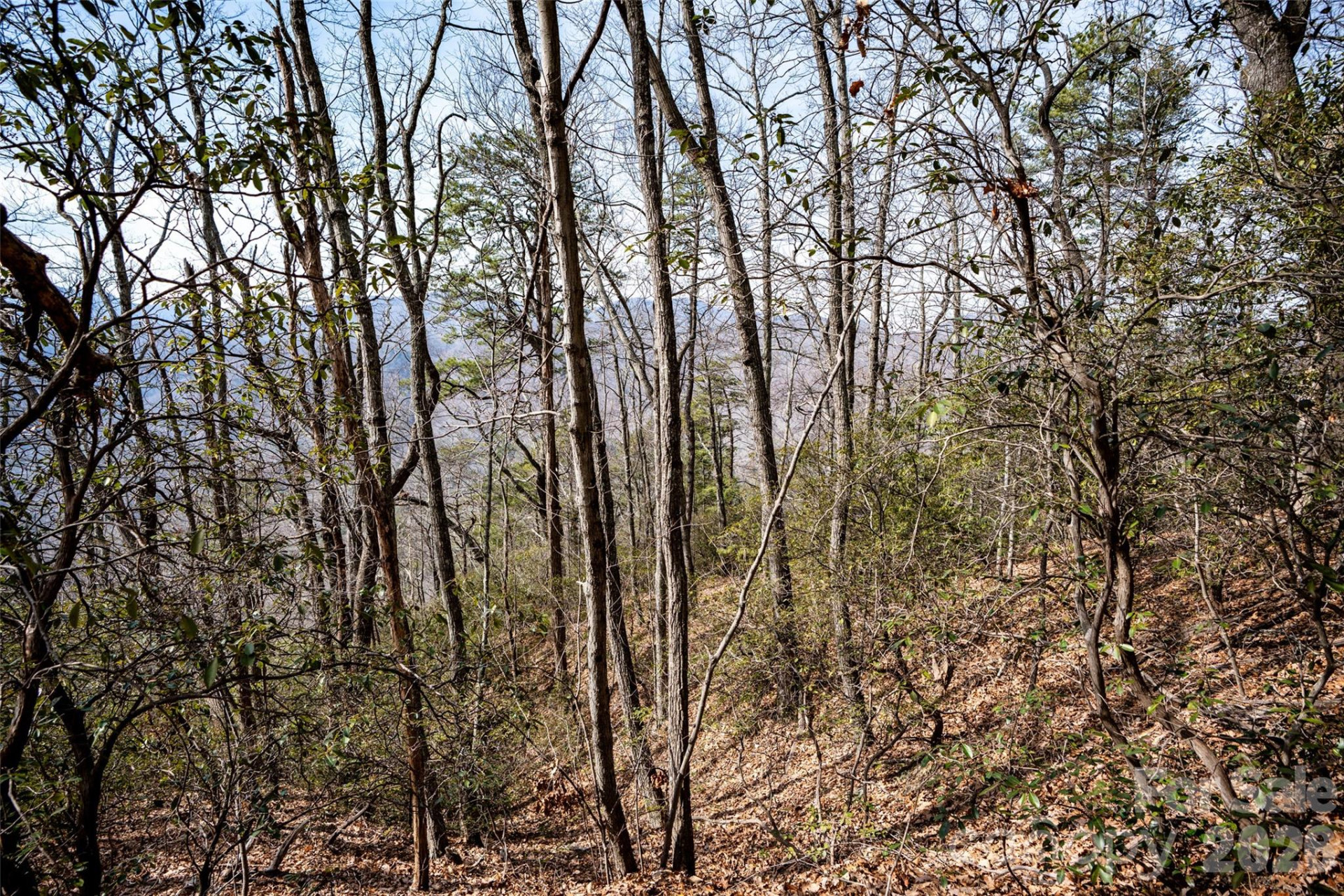 0 Rachel Ridge - Photo 16