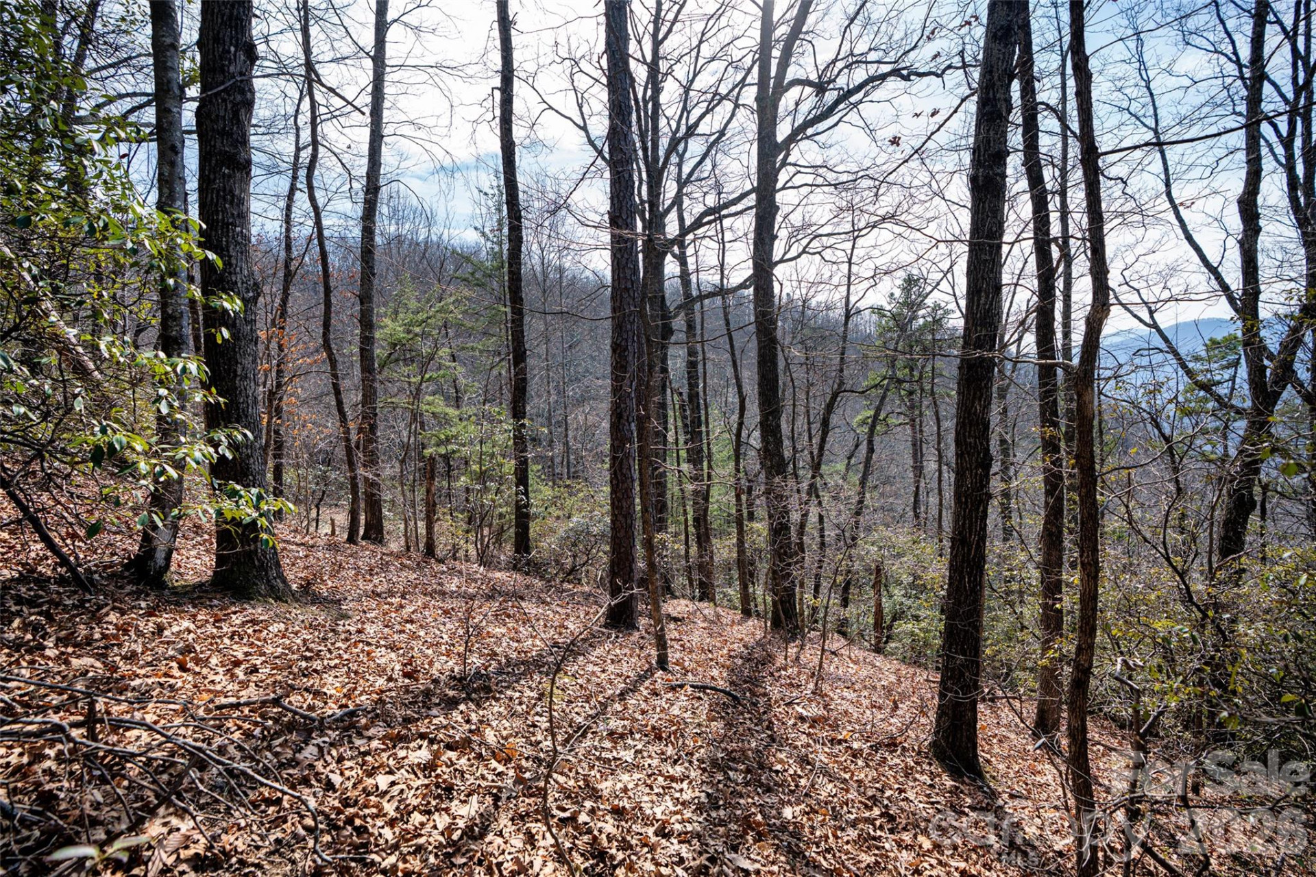 0 Rachel Ridge - Photo 17