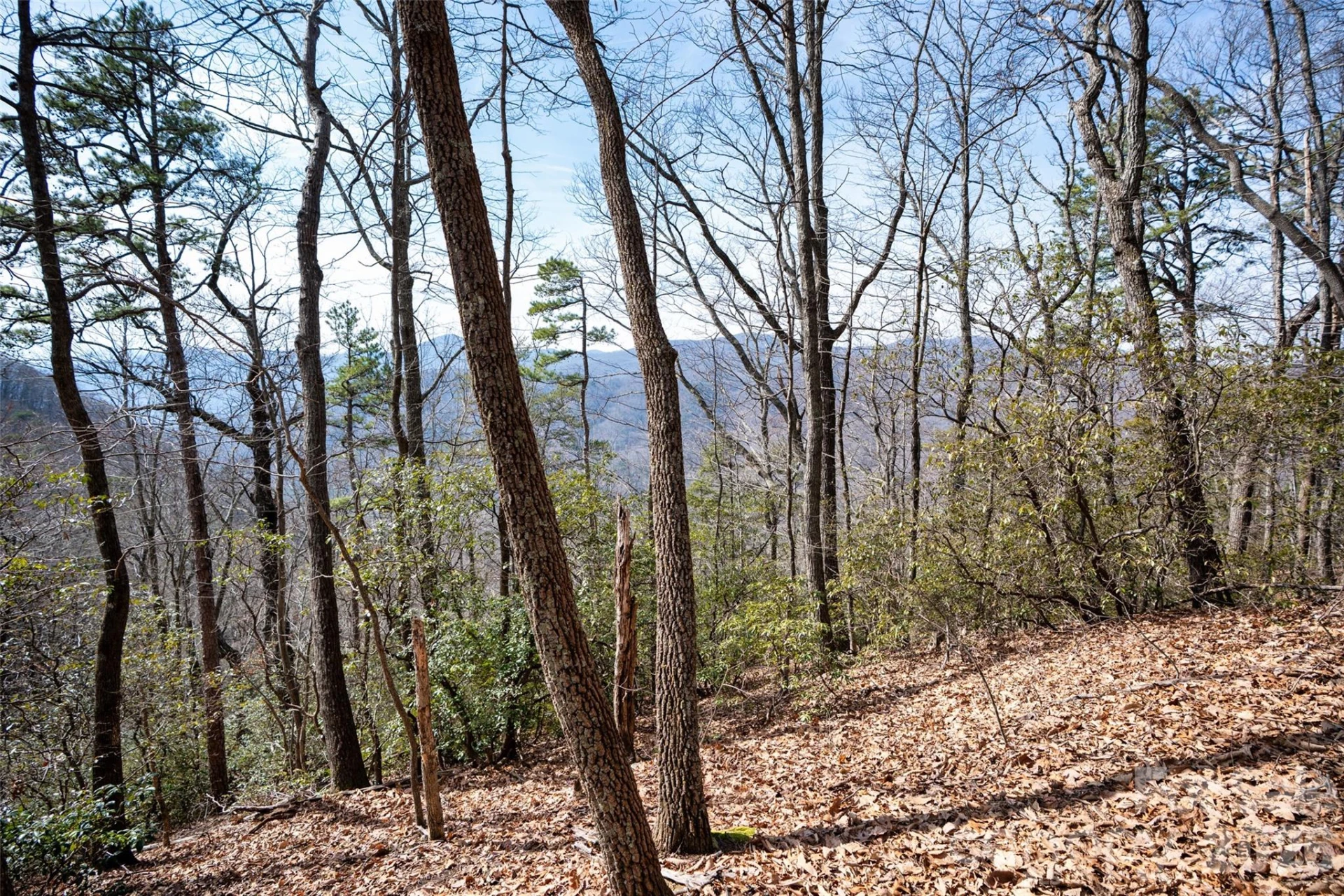0 Rachel Ridge - Photo 18