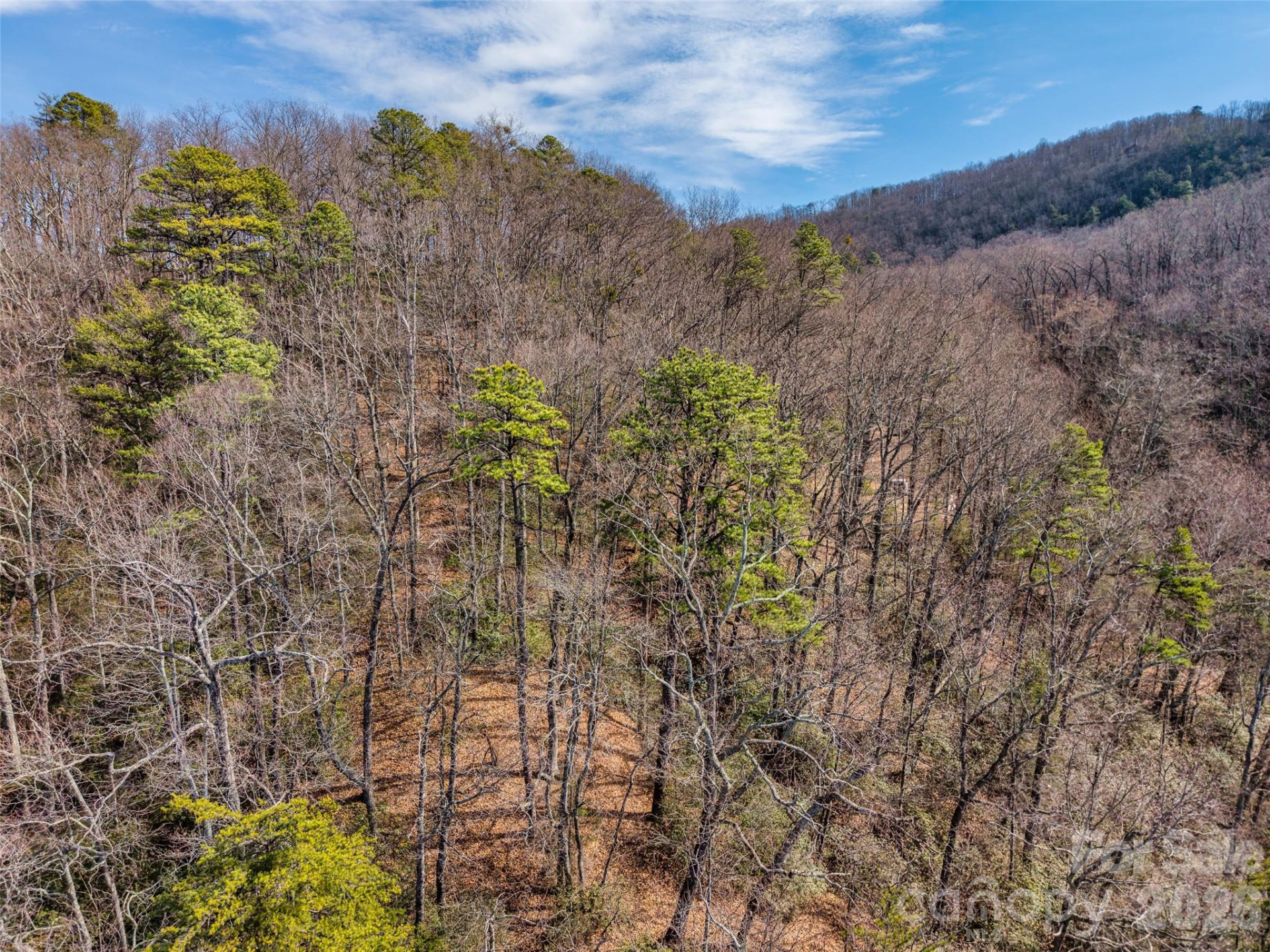 0 Rachel Ridge - Photo 21