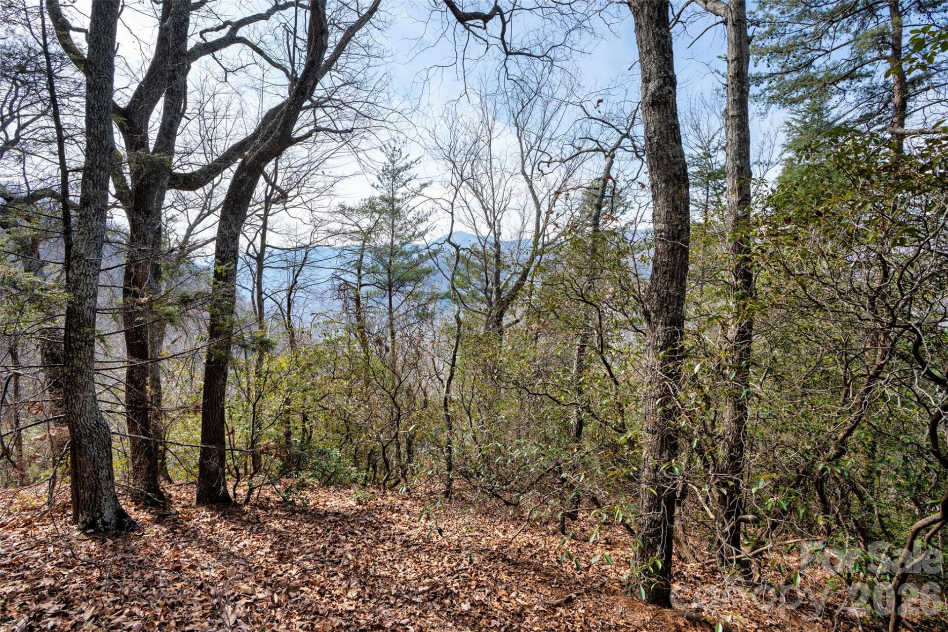 0 Rachel Ridge - Photo 4