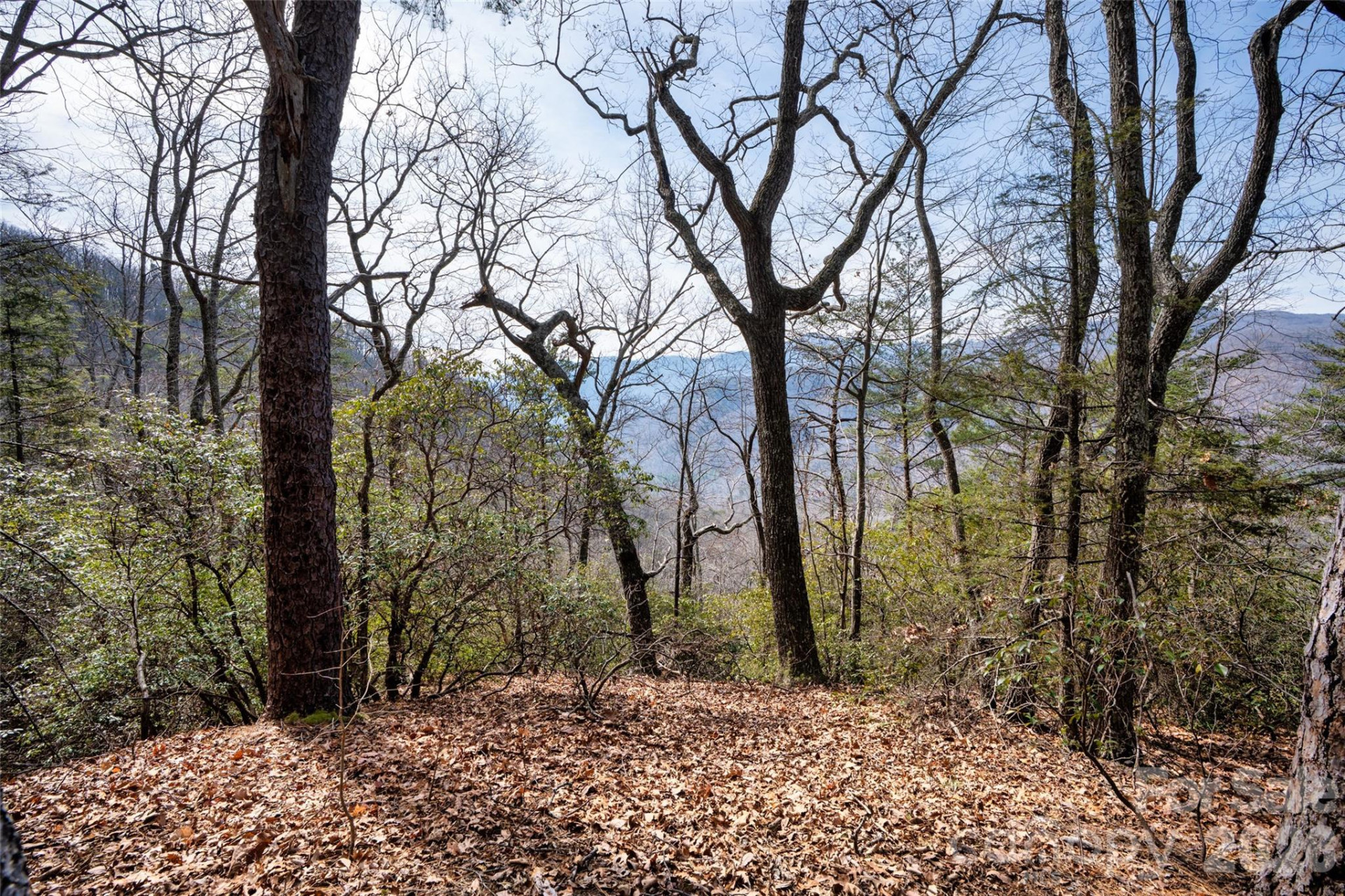 0 Rachel Ridge - Photo 5