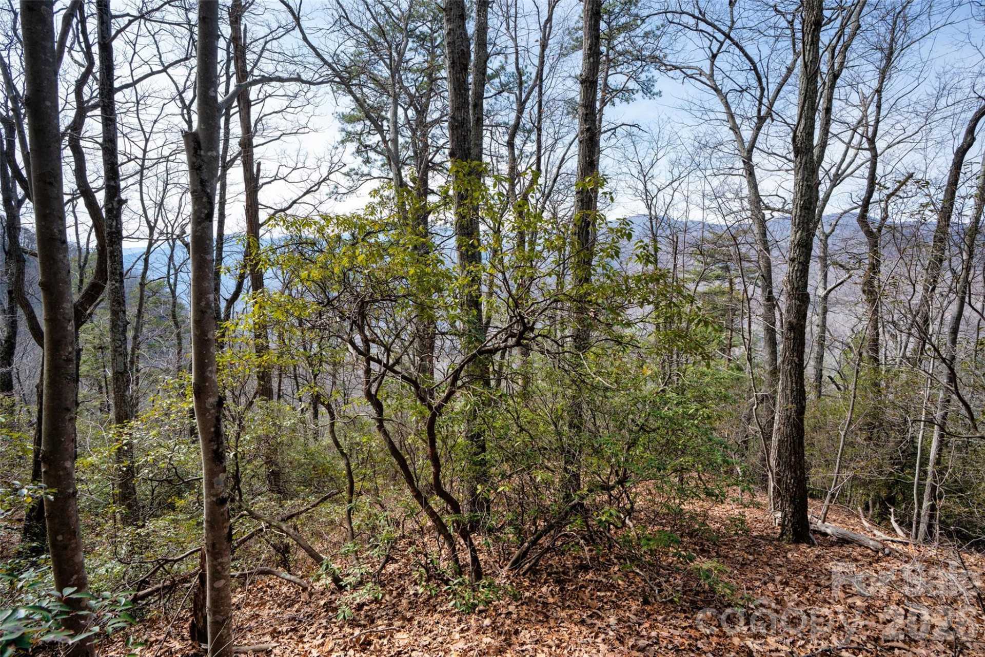 0 Rachel Ridge - Photo 6