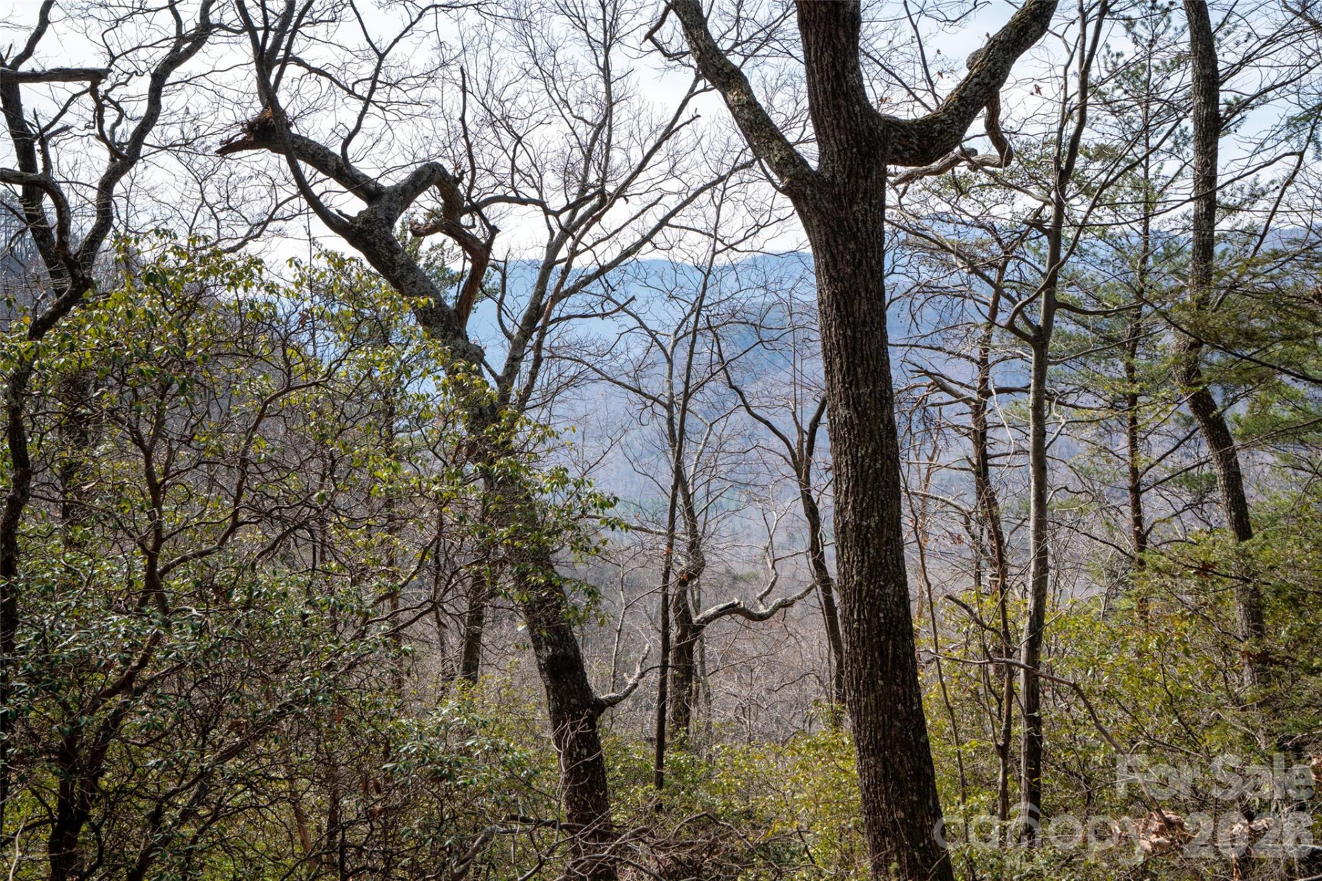 0 Rachel Ridge - Photo 7