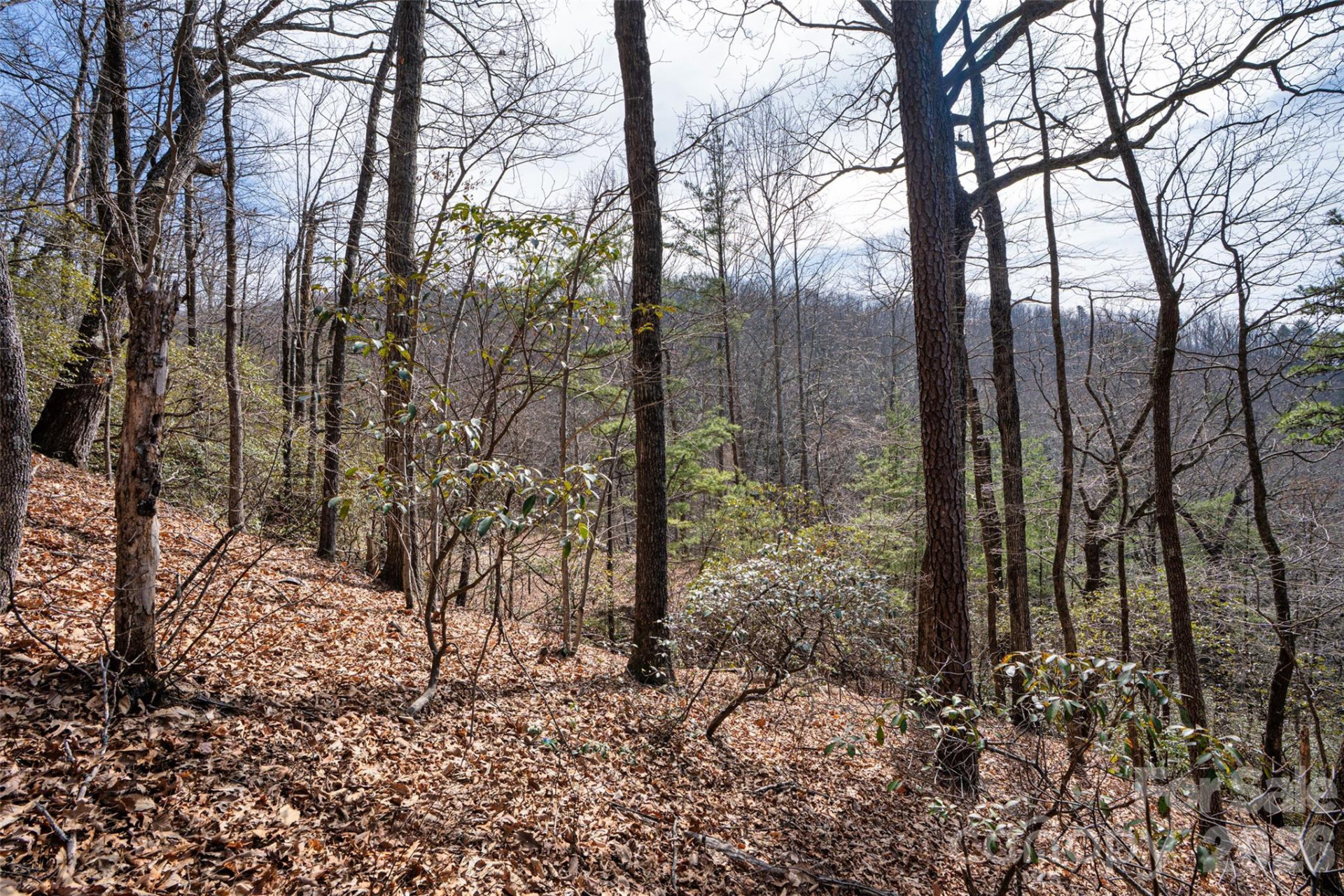 0 Rachel Ridge - Photo 10