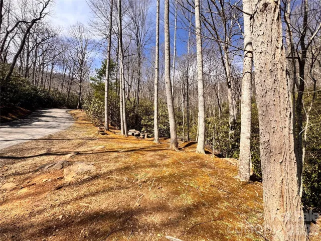 212 Harmony Lane, Montreat, NC, 28757