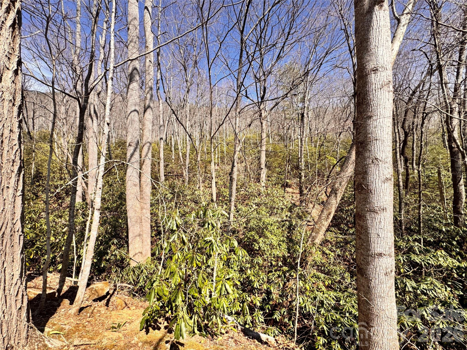 212 Harmony Lane #1142 - Photo 2