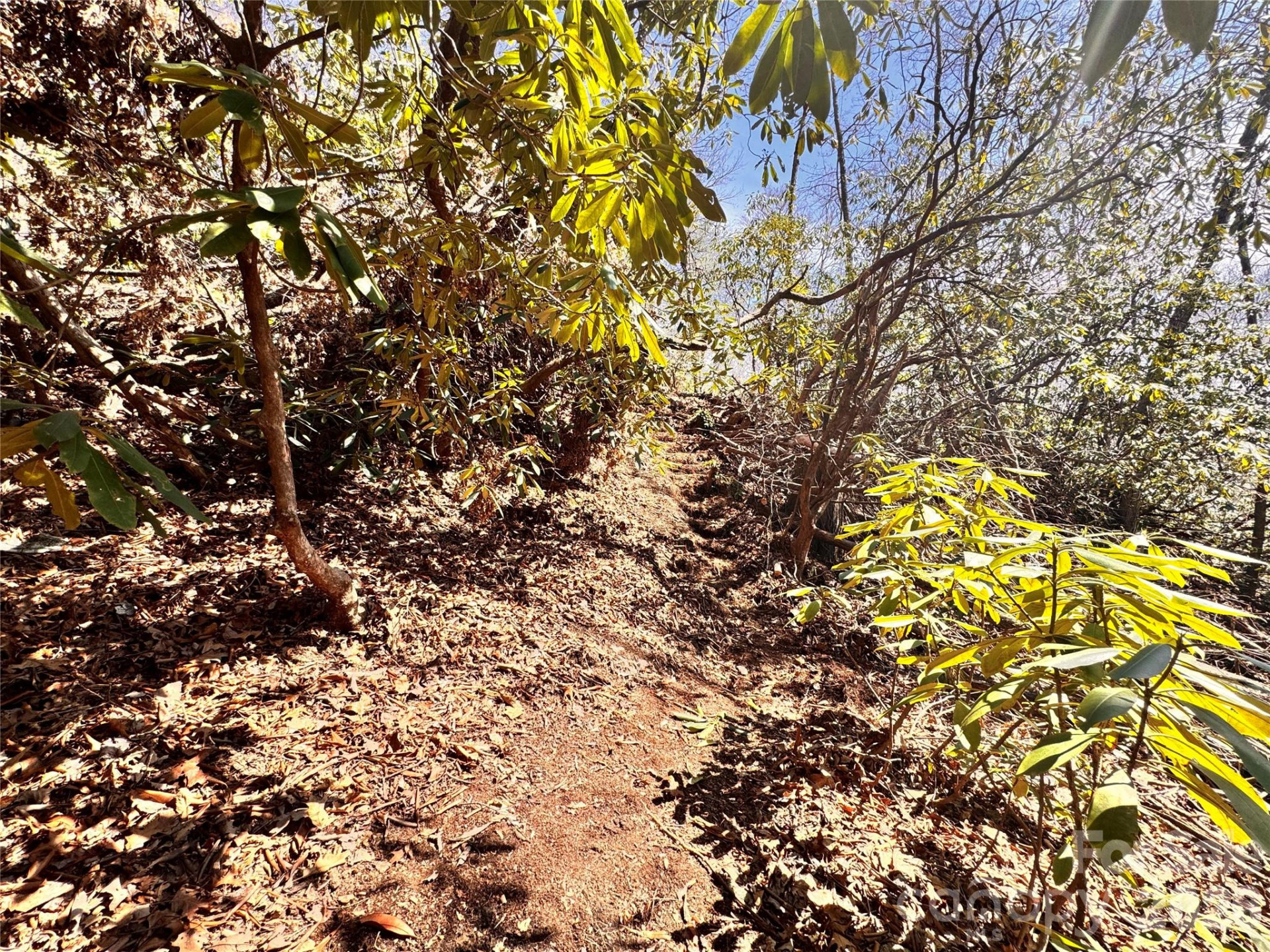 212 Harmony Lane #1142 - Photo 11