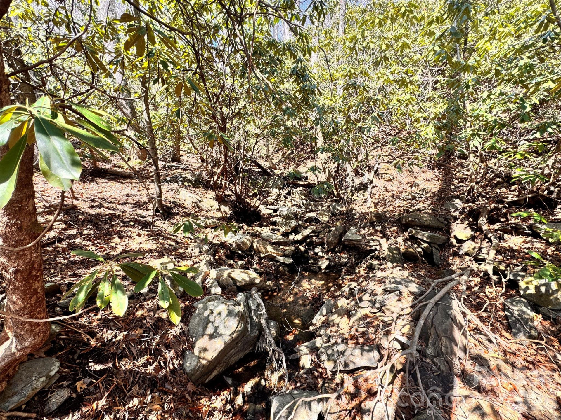 212 Harmony Lane #1142 - Photo 12