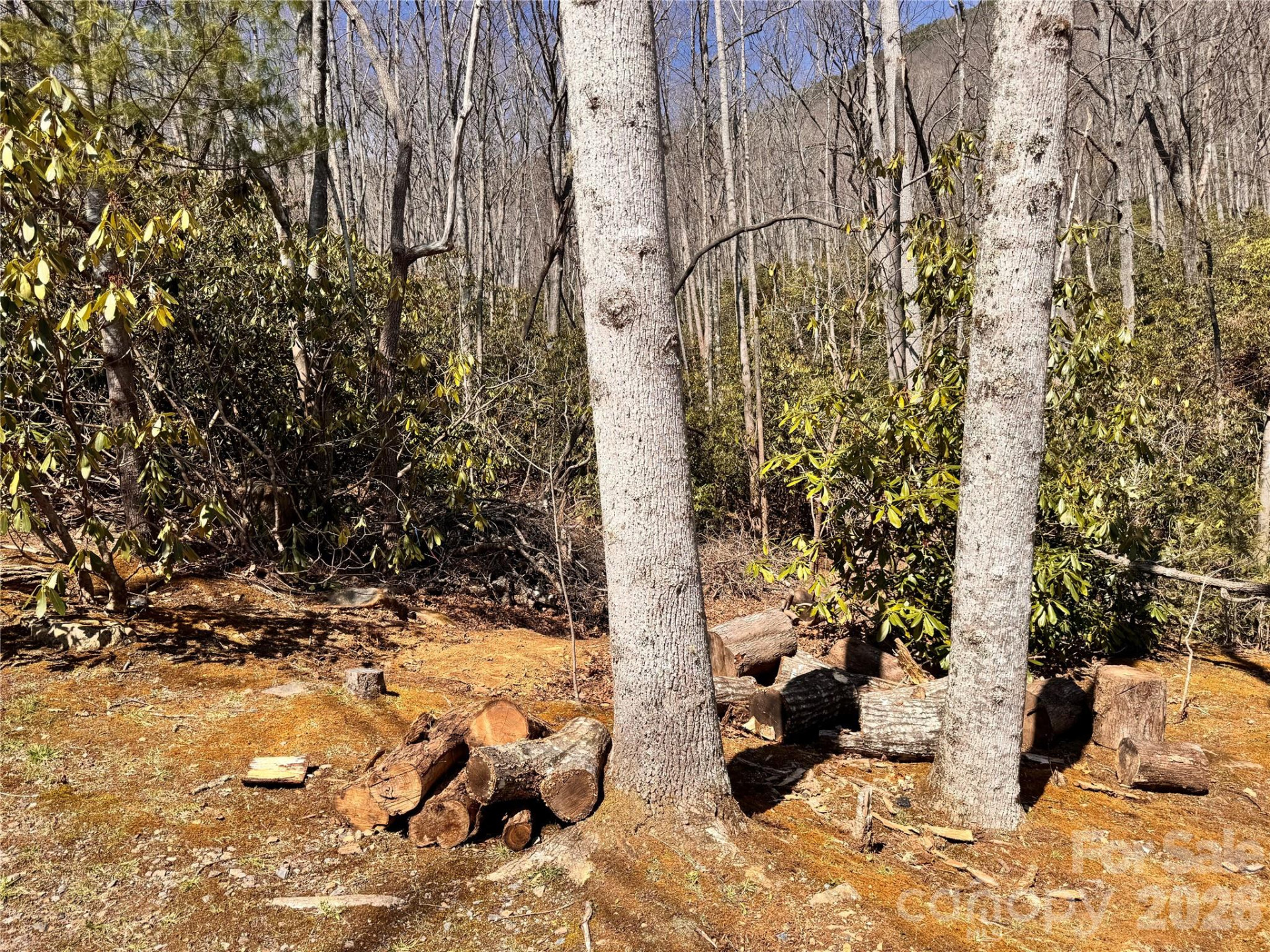 212 Harmony Lane #1142 - Photo 13