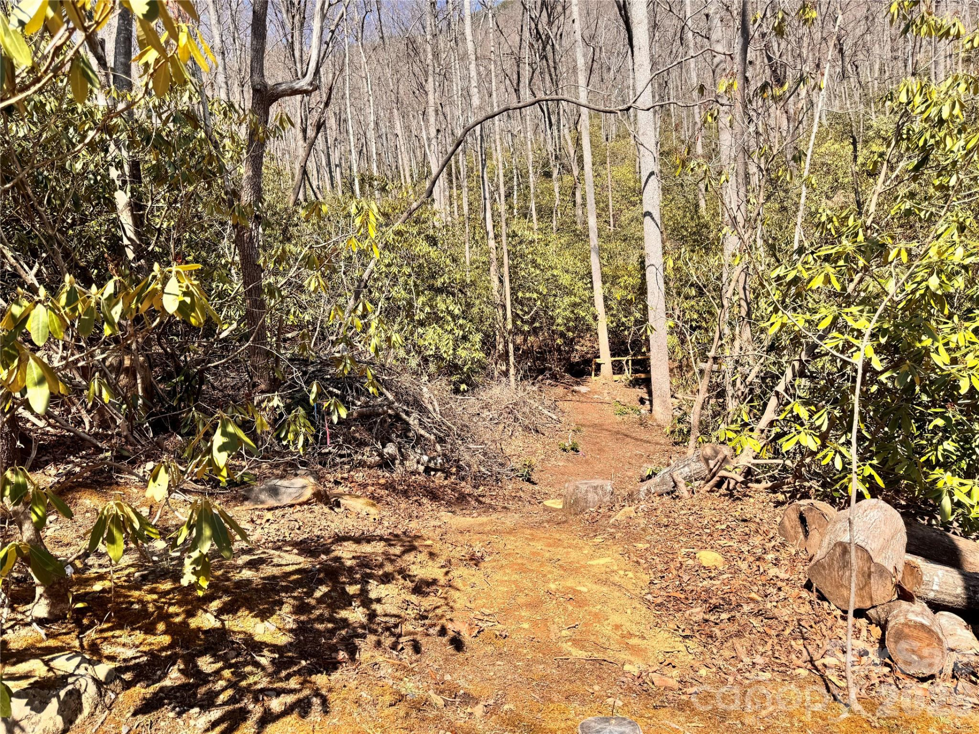 212 Harmony Lane #1142 - Photo 14