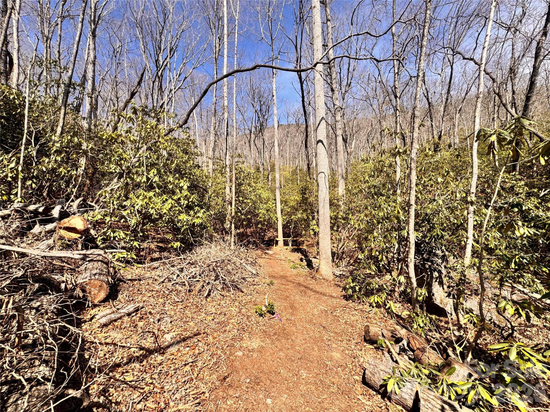 212 Harmony Lane #1142 - Photo 15