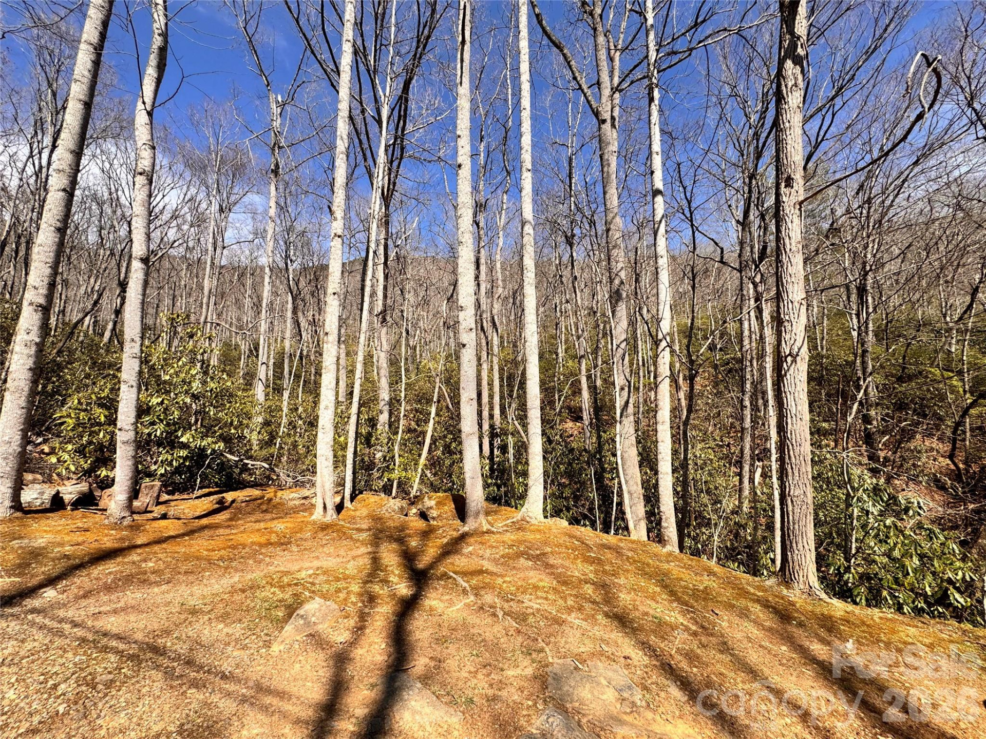 212 Harmony Lane #1142 - Photo 3