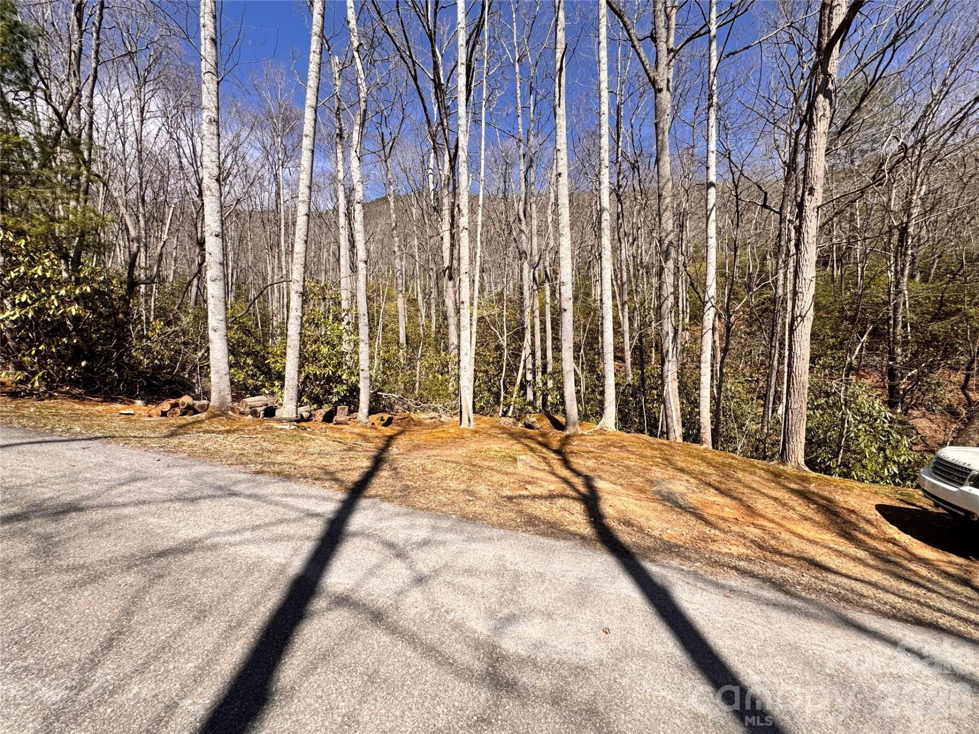 212 Harmony Lane #1142 - Photo 4