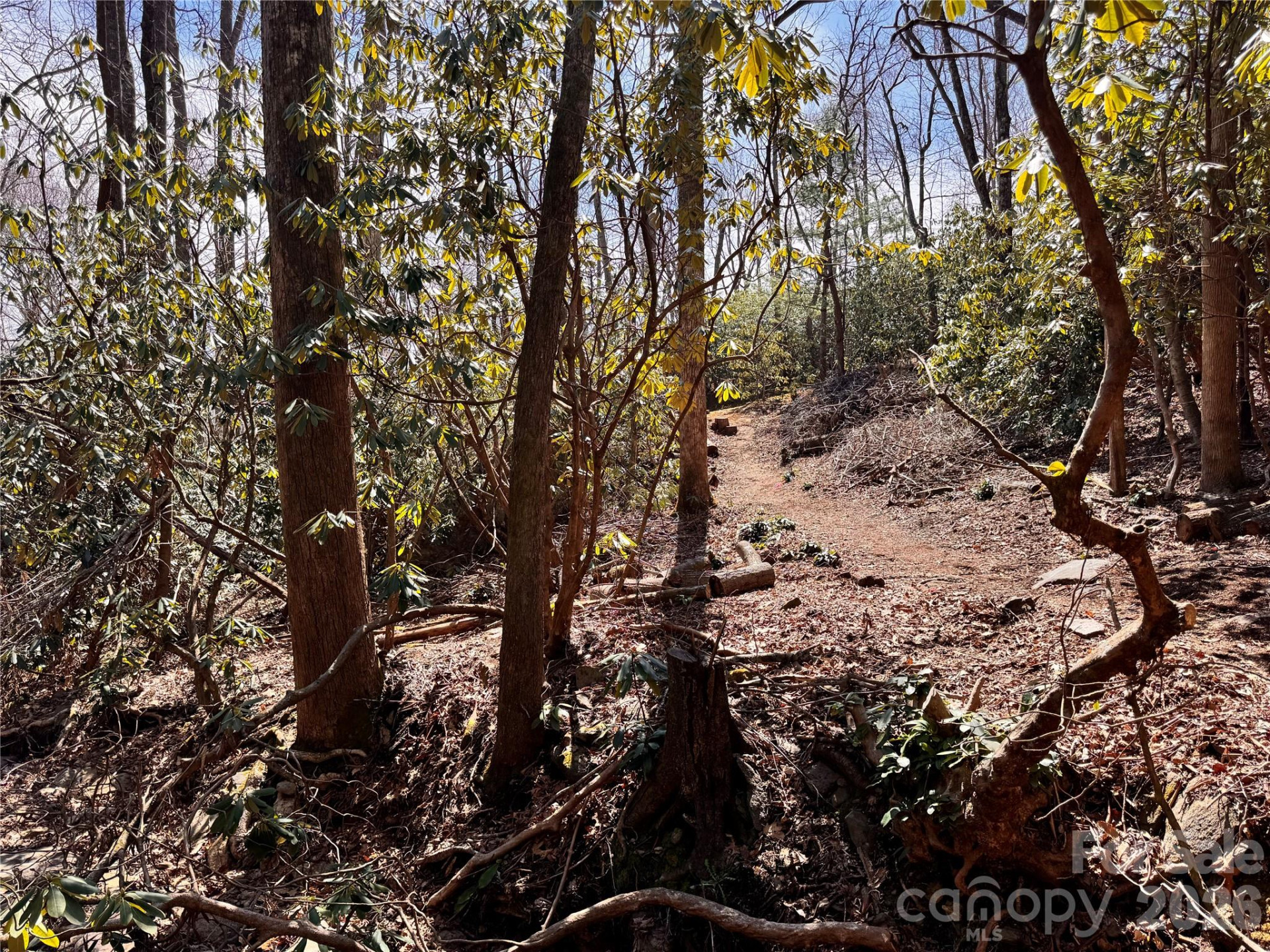 212 Harmony Lane #1142 - Photo 5