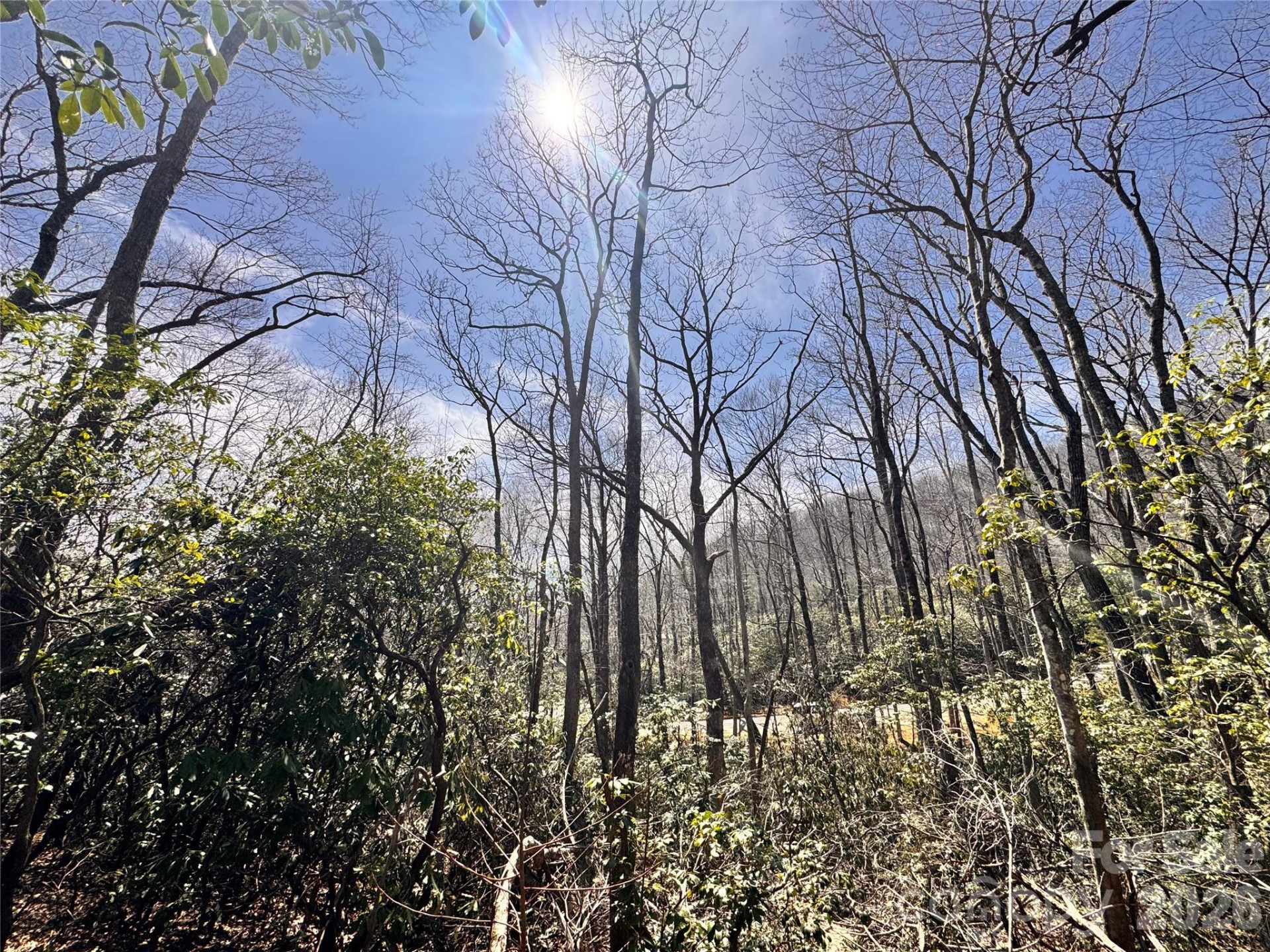 212 Harmony Lane #1142 - Photo 6