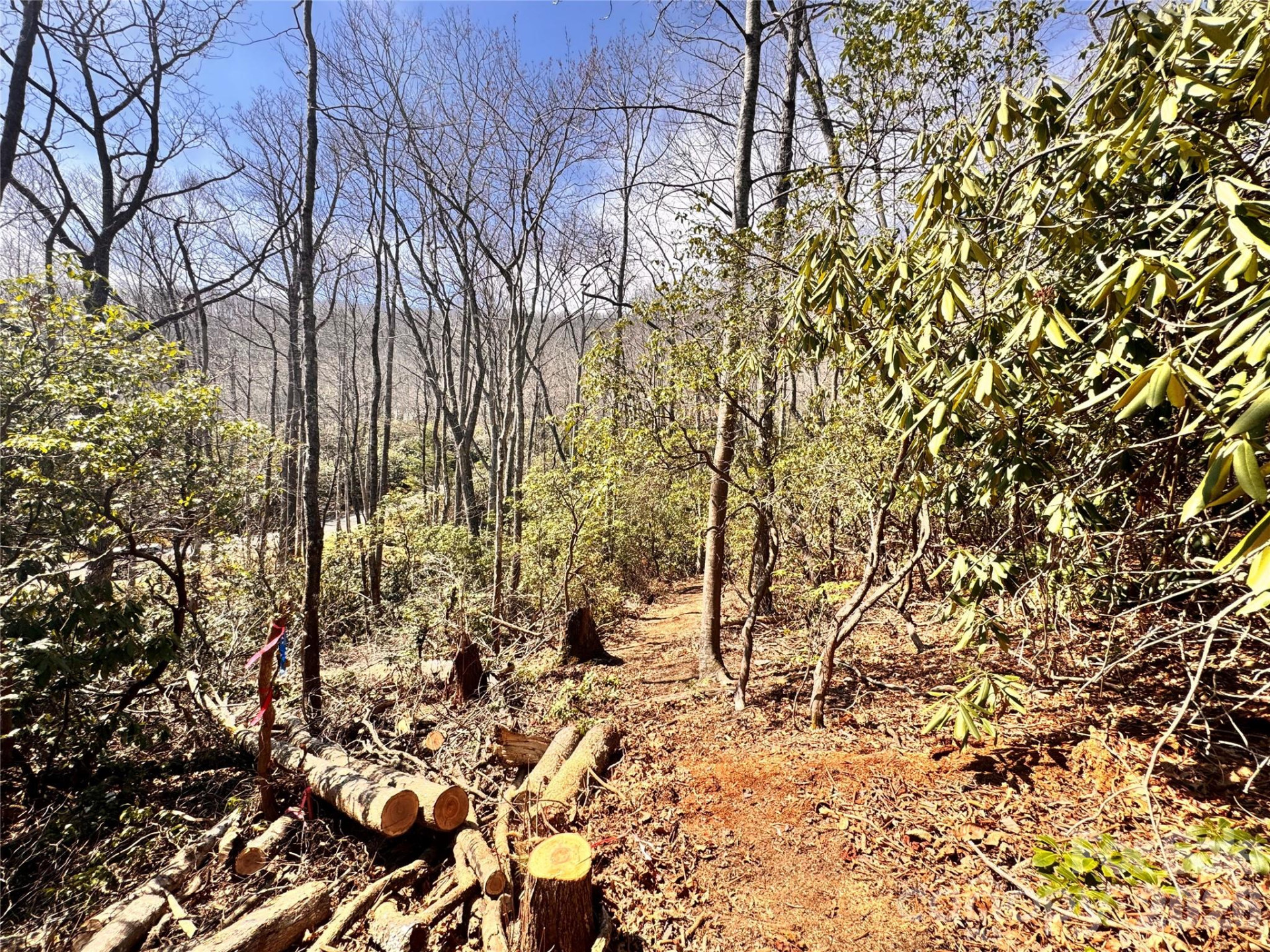 212 Harmony Lane #1142 - Photo 7