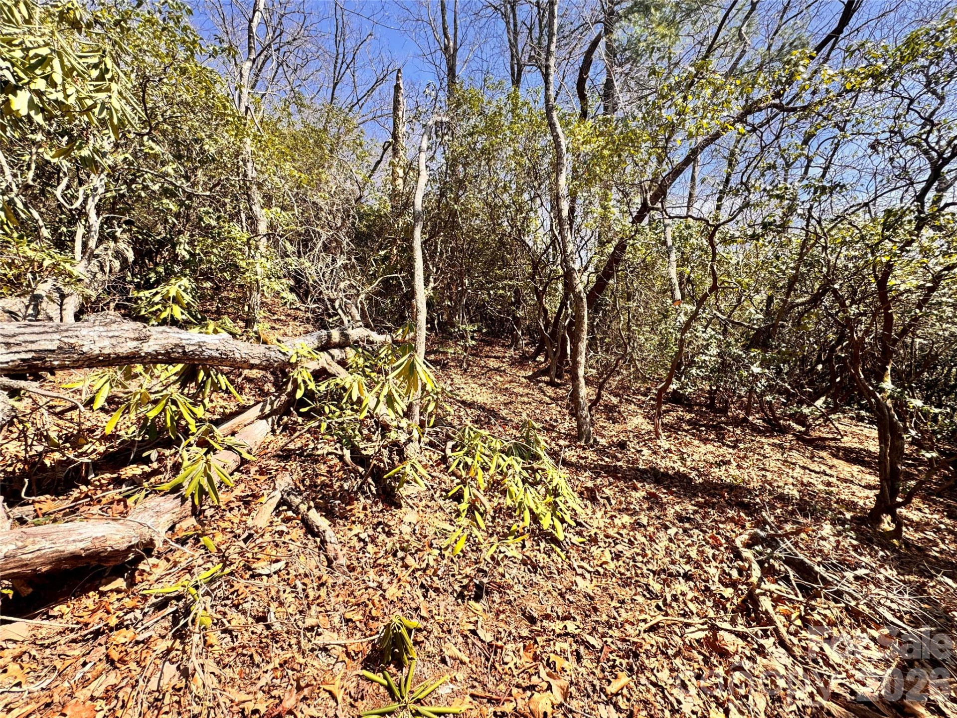 212 Harmony Lane #1142 - Photo 8