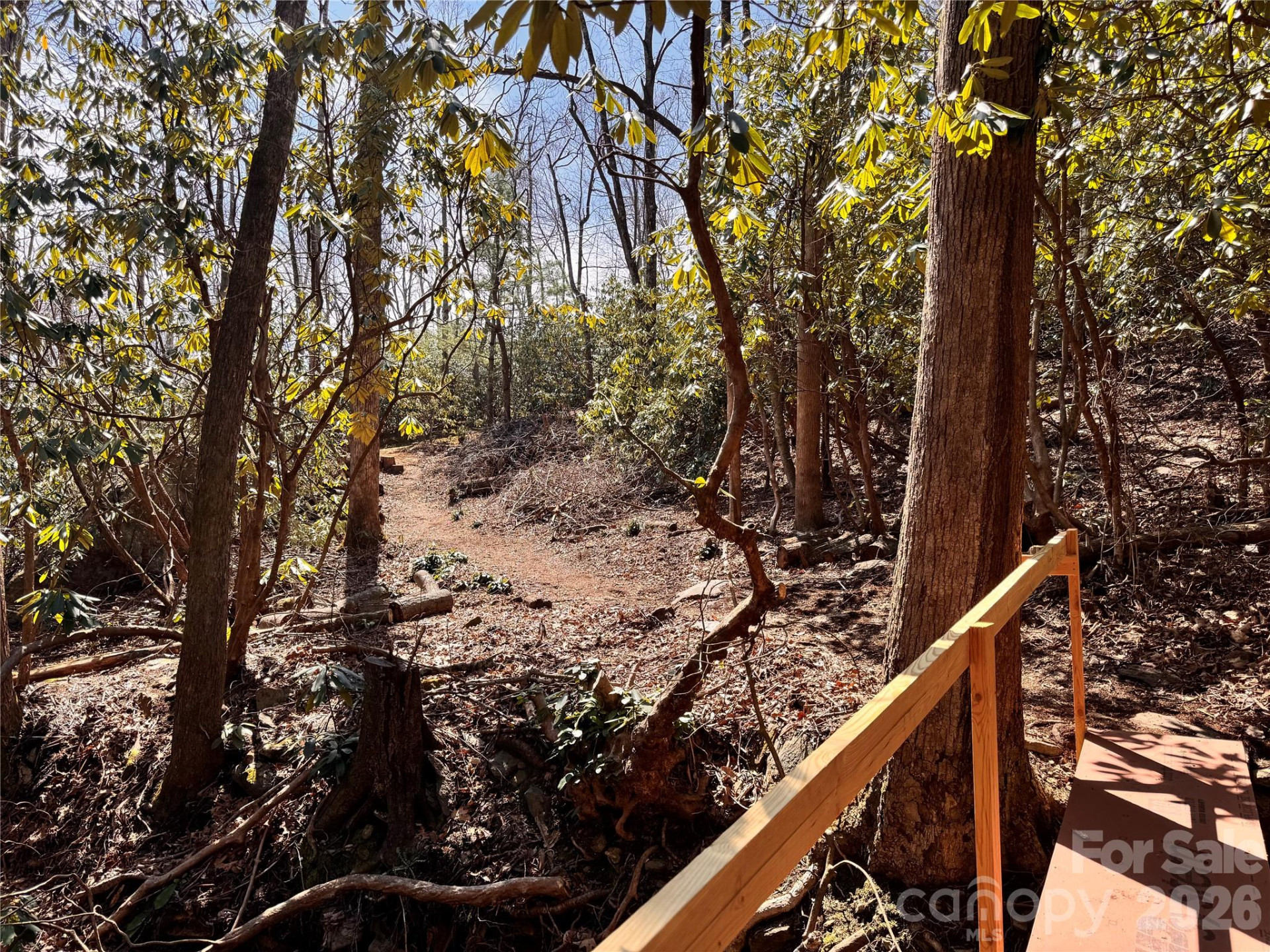 212 Harmony Lane #1142 - Photo 9