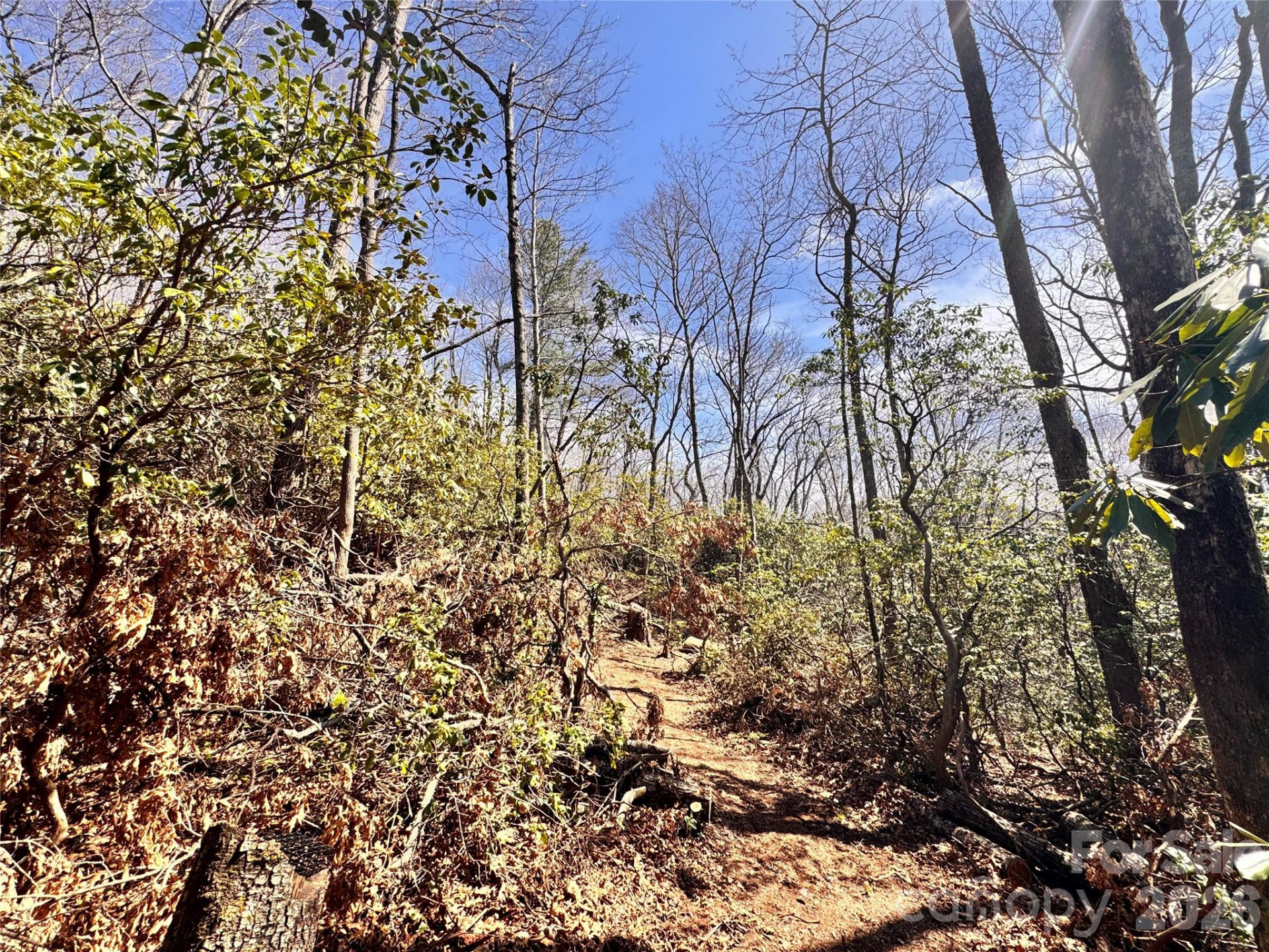 212 Harmony Lane #1142 - Photo 10