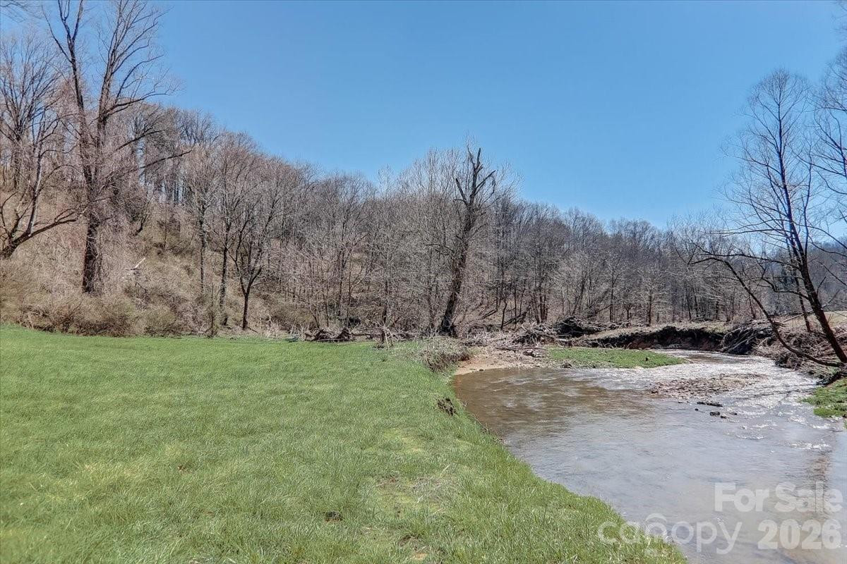 99999 Smokey Park Highway - Photo 3