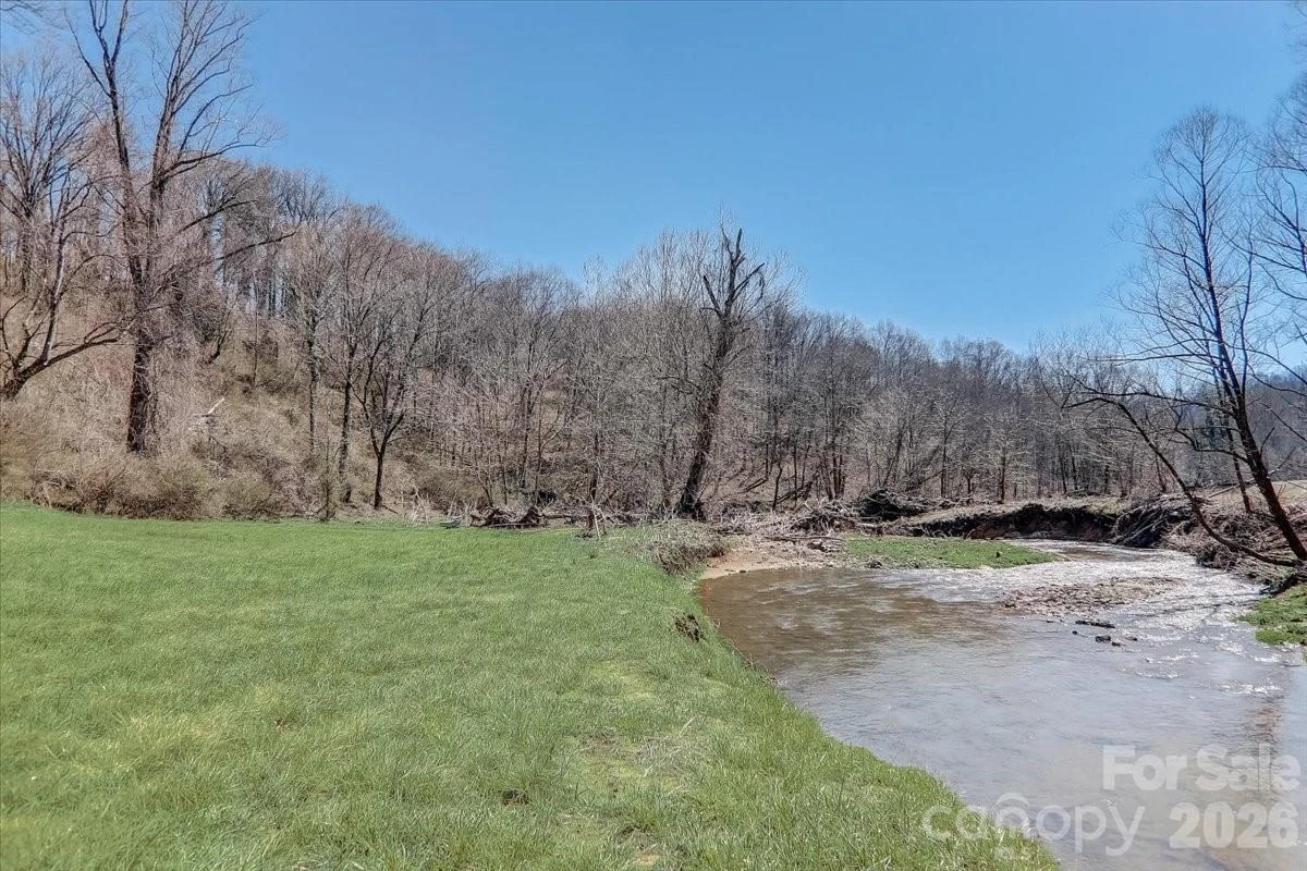 99999 Smokey Park Highway - Photo 3