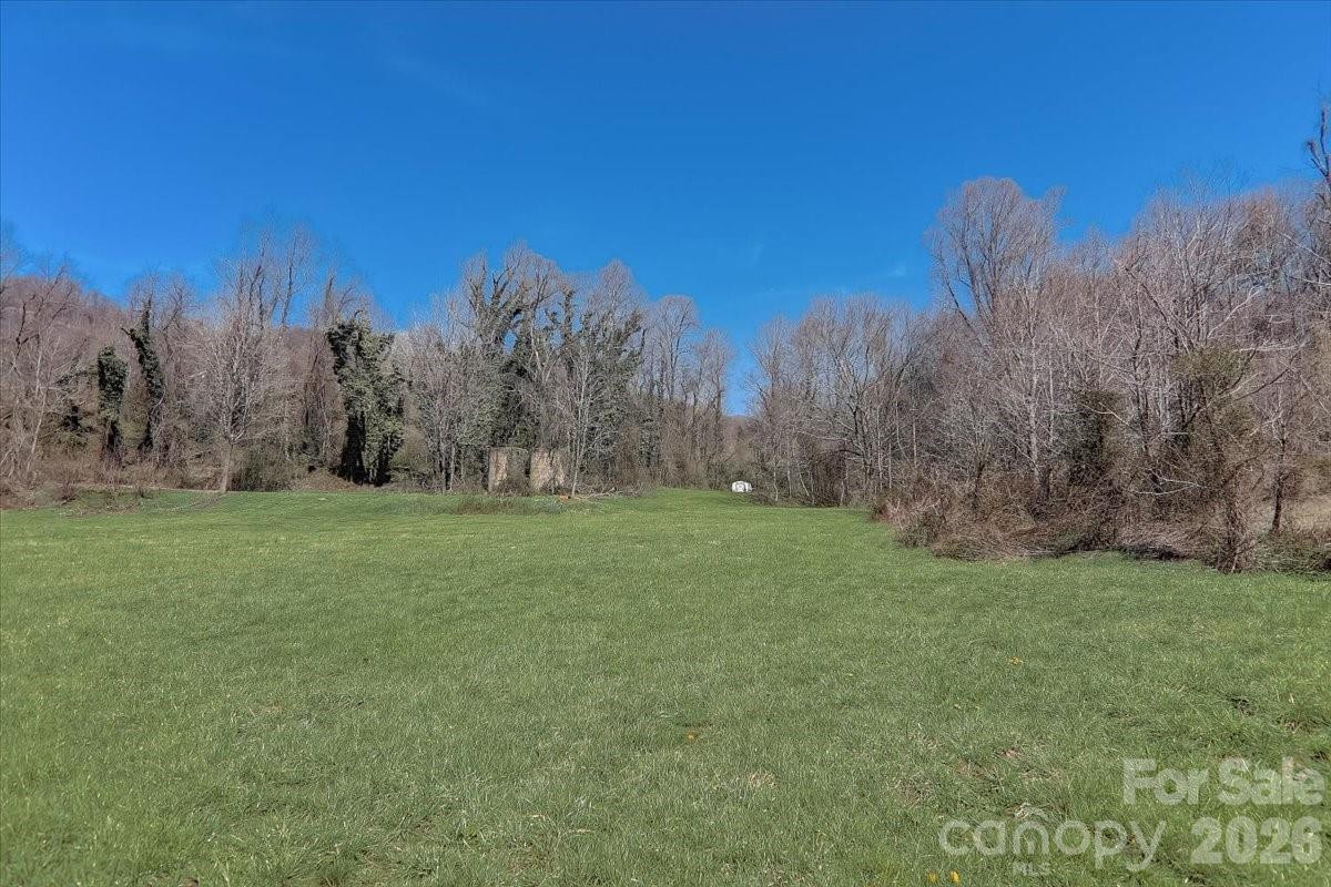 99999 Smokey Park Highway - Photo 4