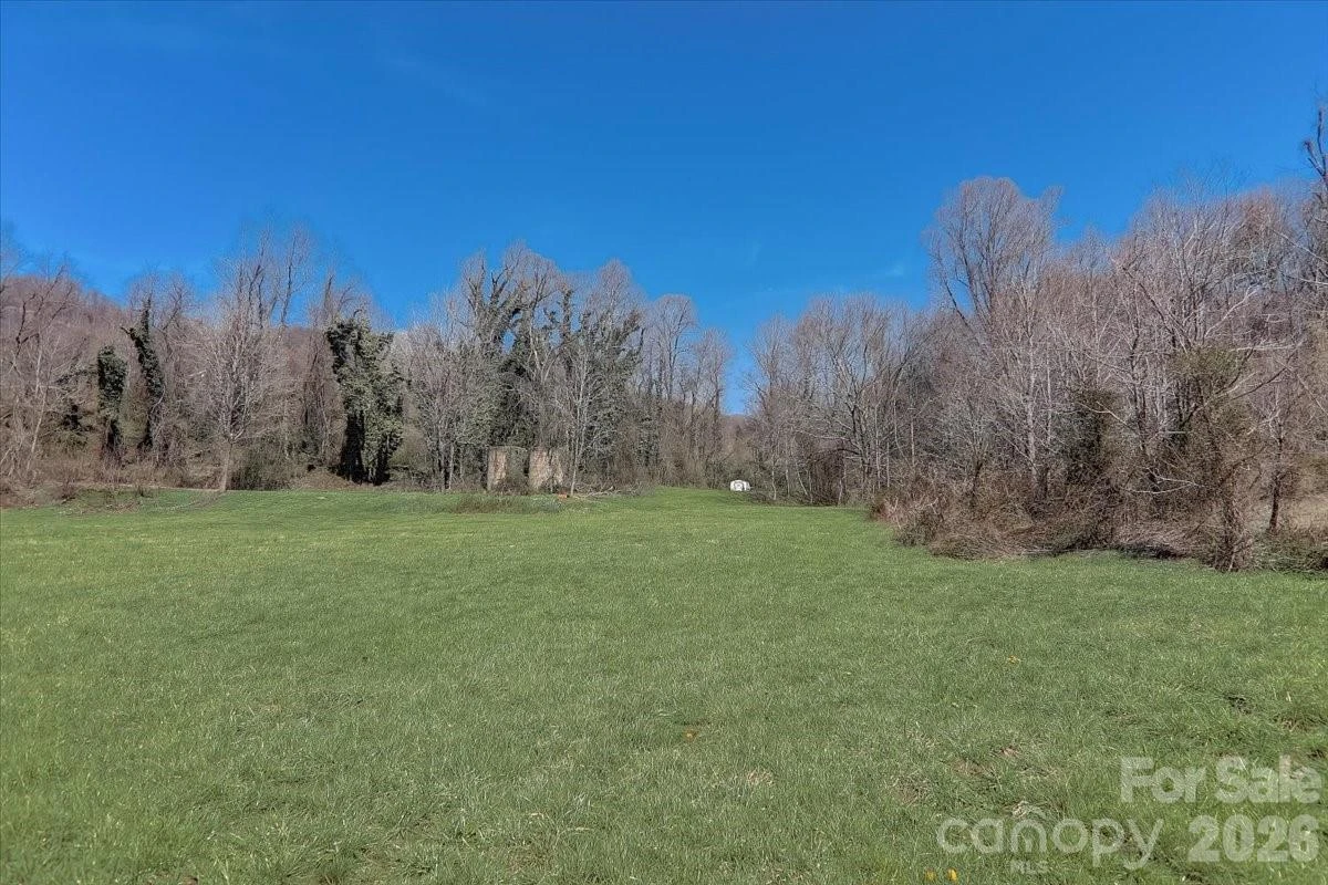 99999 Smokey Park Highway - Photo 4