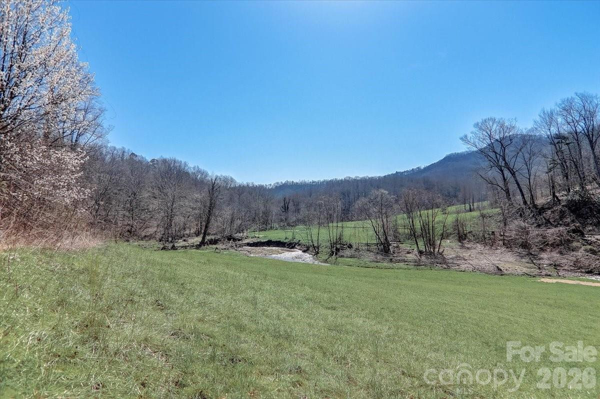 99999 Smokey Park Highway - Photo 5