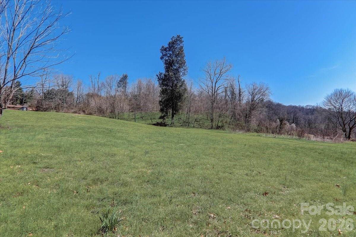 99999 Smokey Park Highway - Photo 7