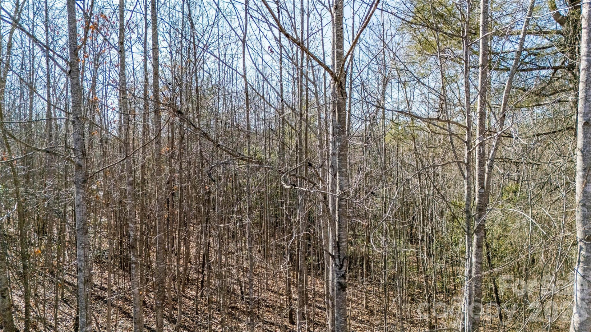 000 Eagles Nest Drive #8 - Photo 5