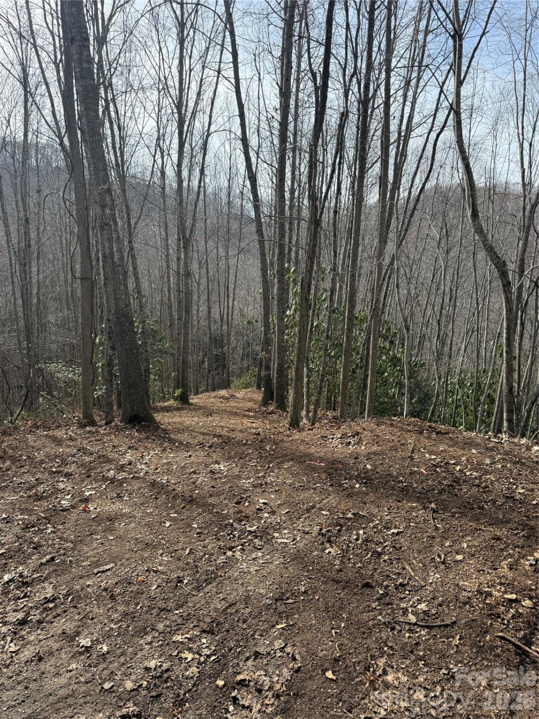 236 Down The Hill Road