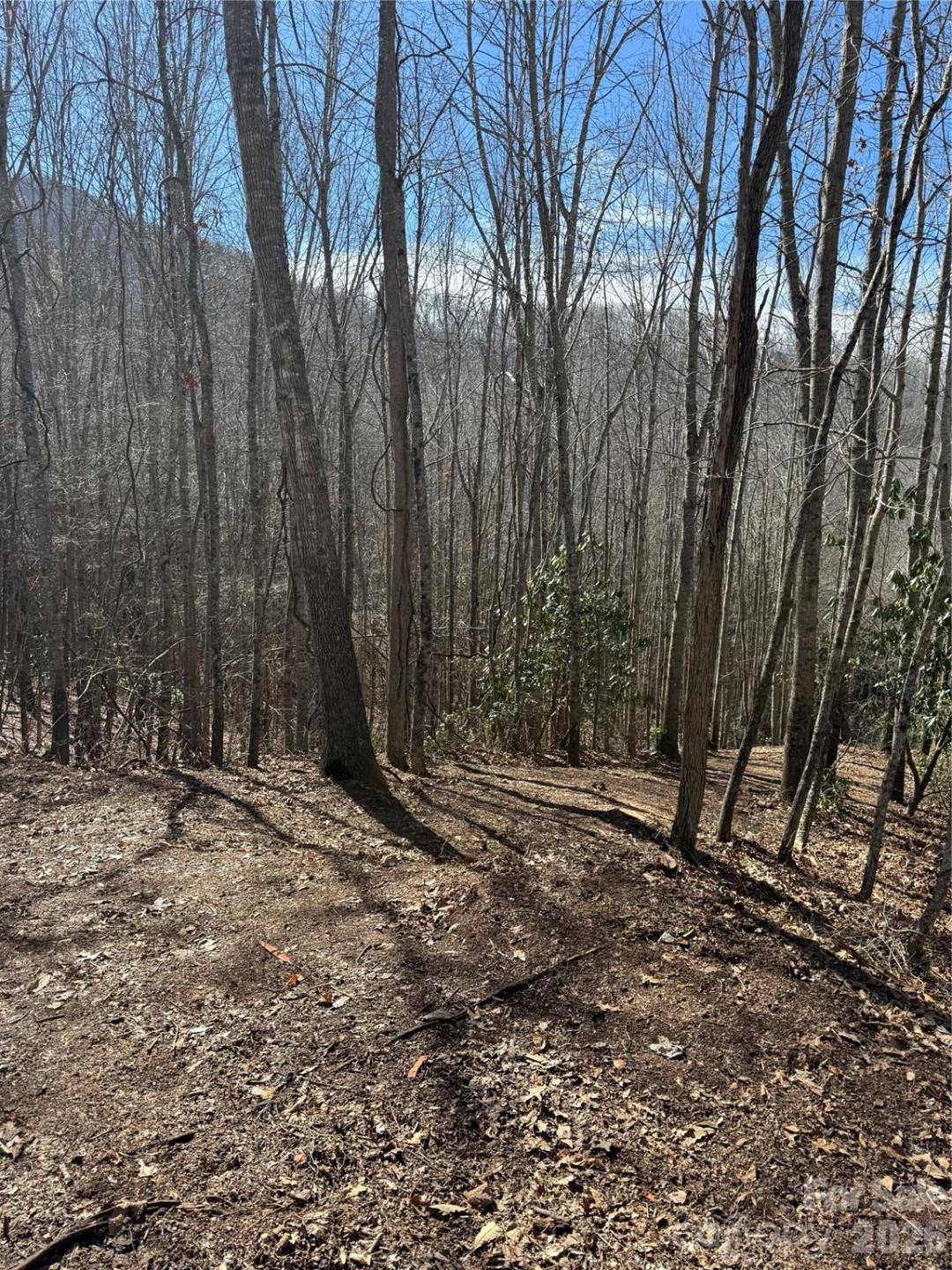 236 Down The Hill Road - Photo 2