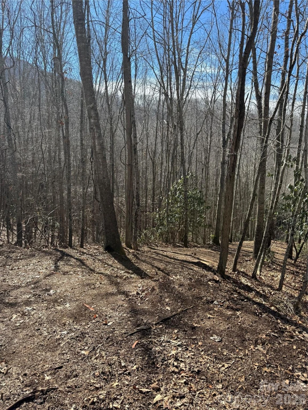 236 Down The Hill Road - Photo 2