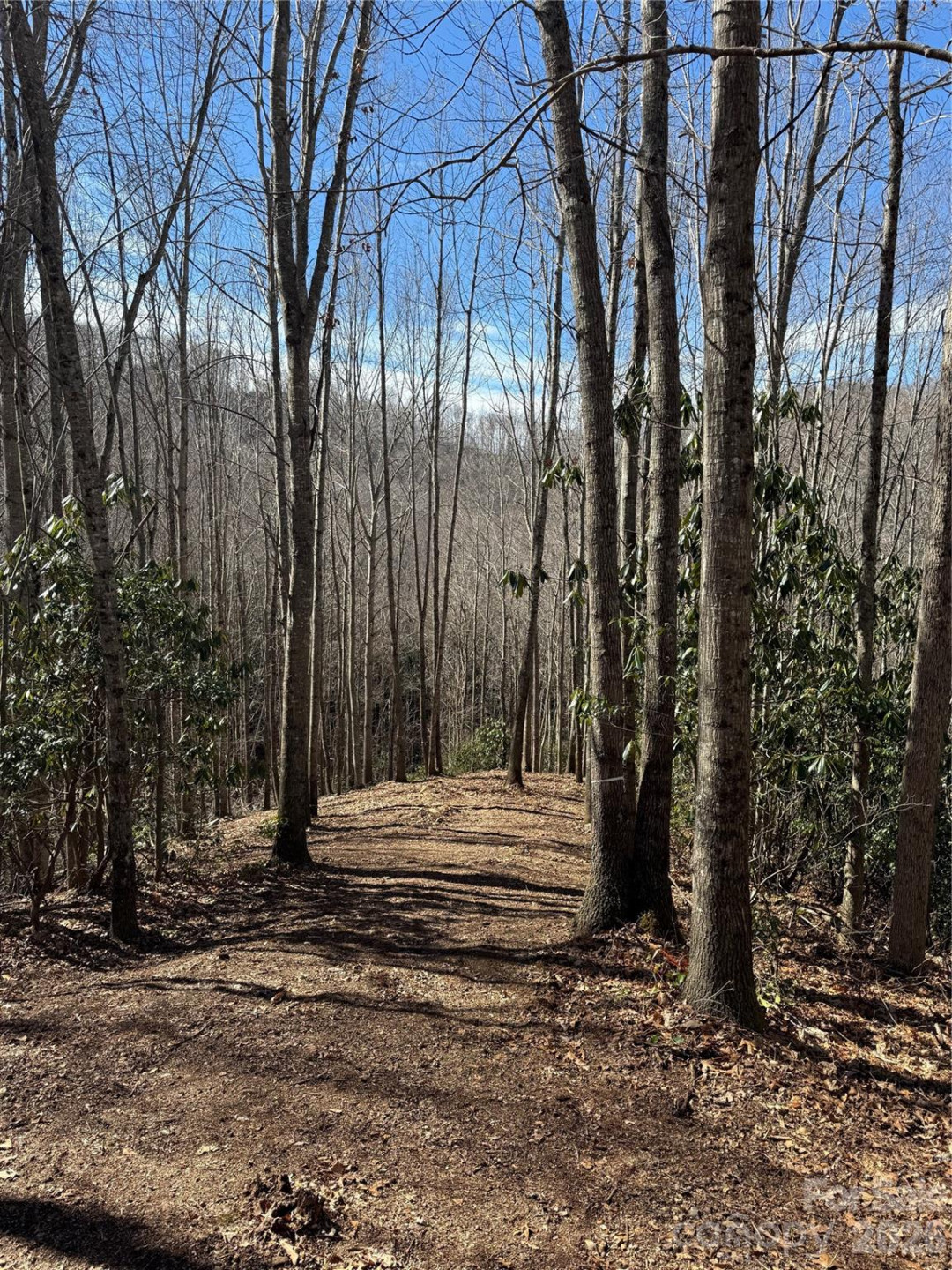 236 Down The Hill Road - Photo 3