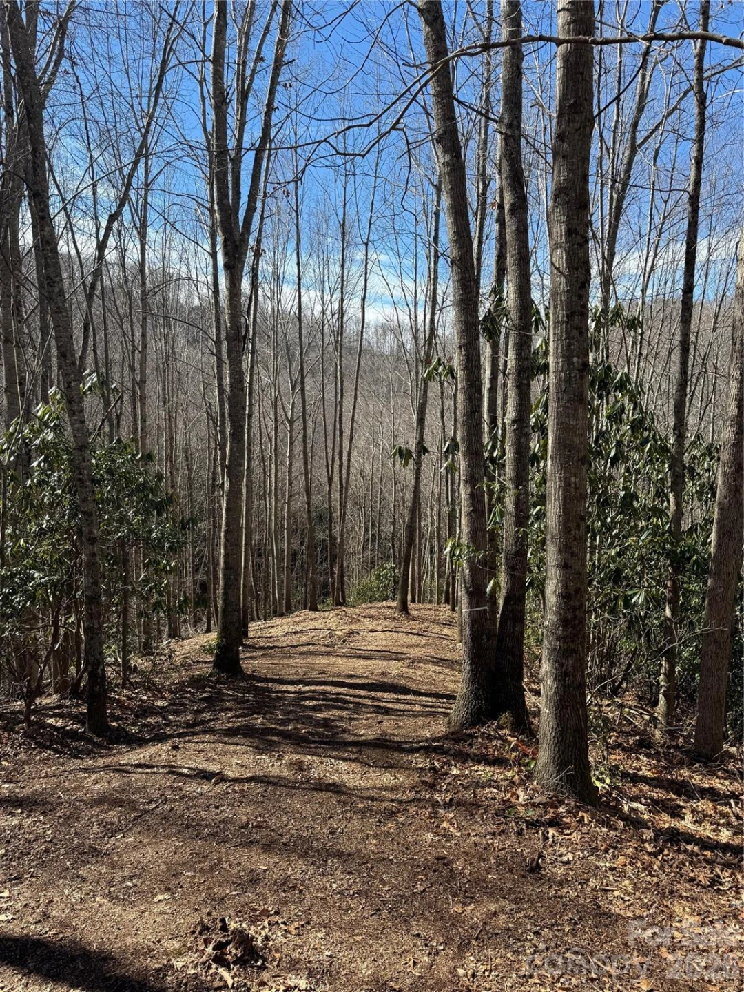 236 Down The Hill Road - Photo 3