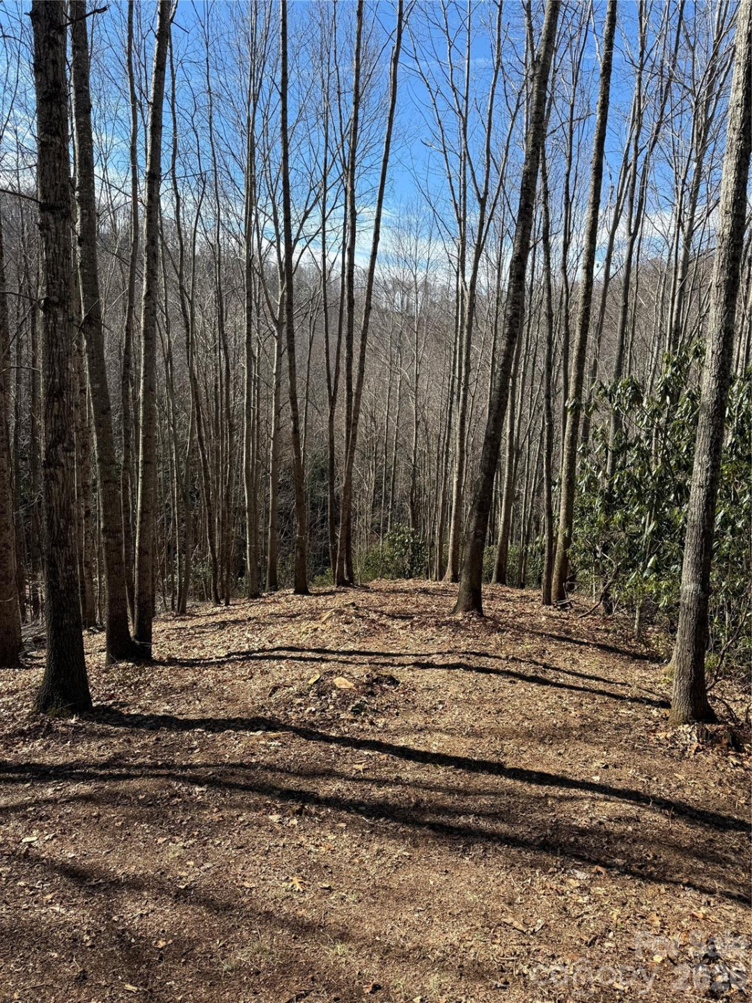 236 Down The Hill Road - Photo 4