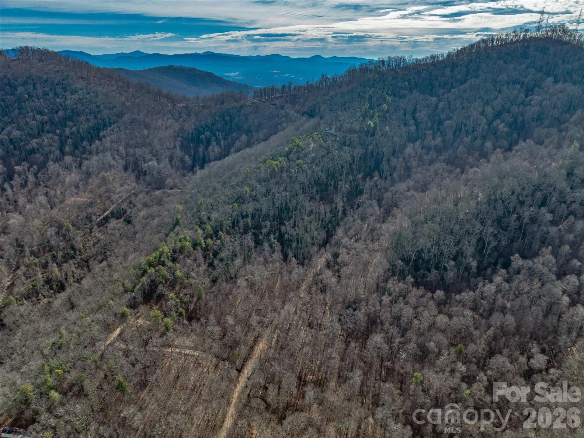99999 High Top Mountain Road - Photo 11