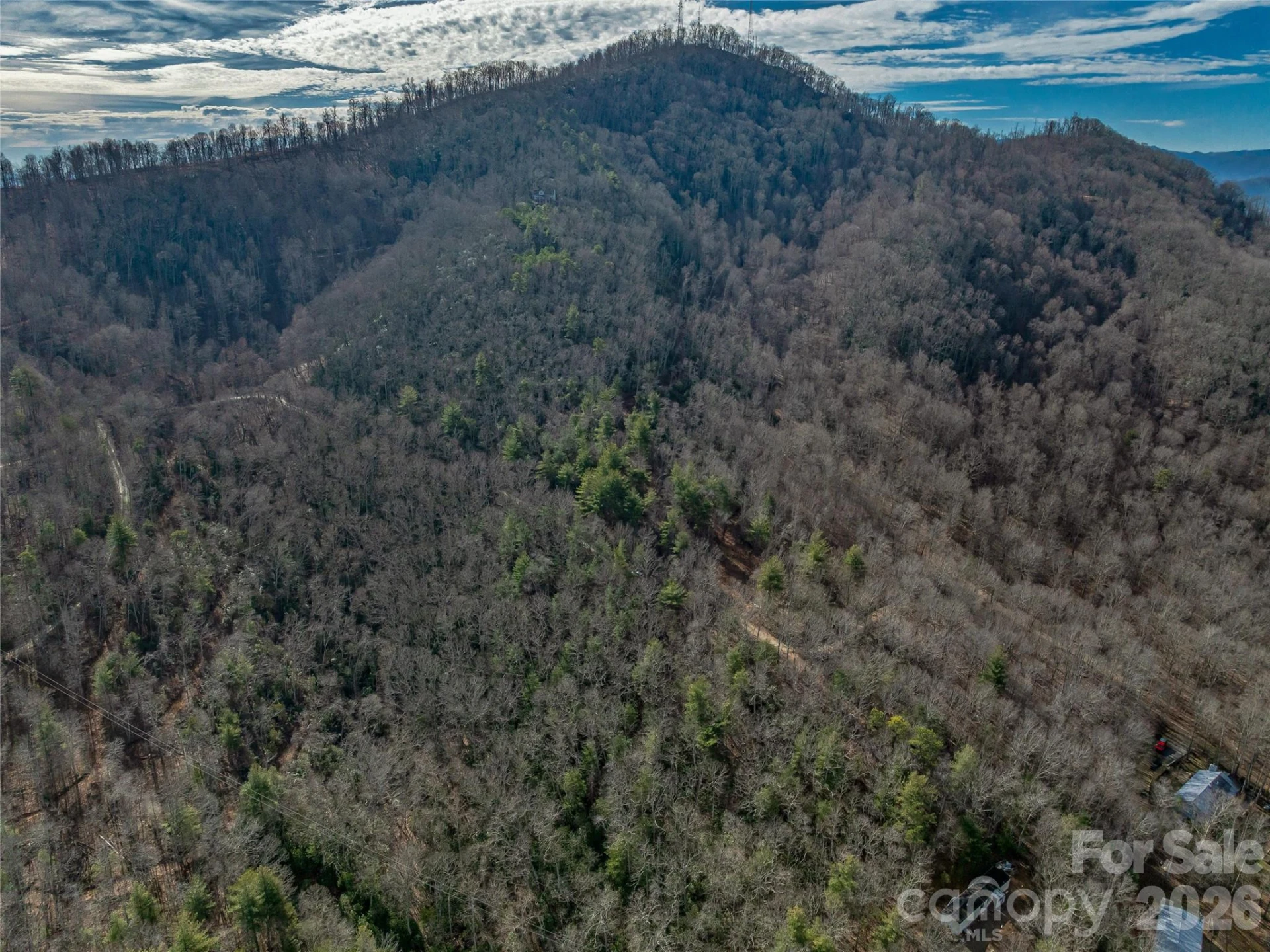99999 High Top Mountain Road - Photo 12
