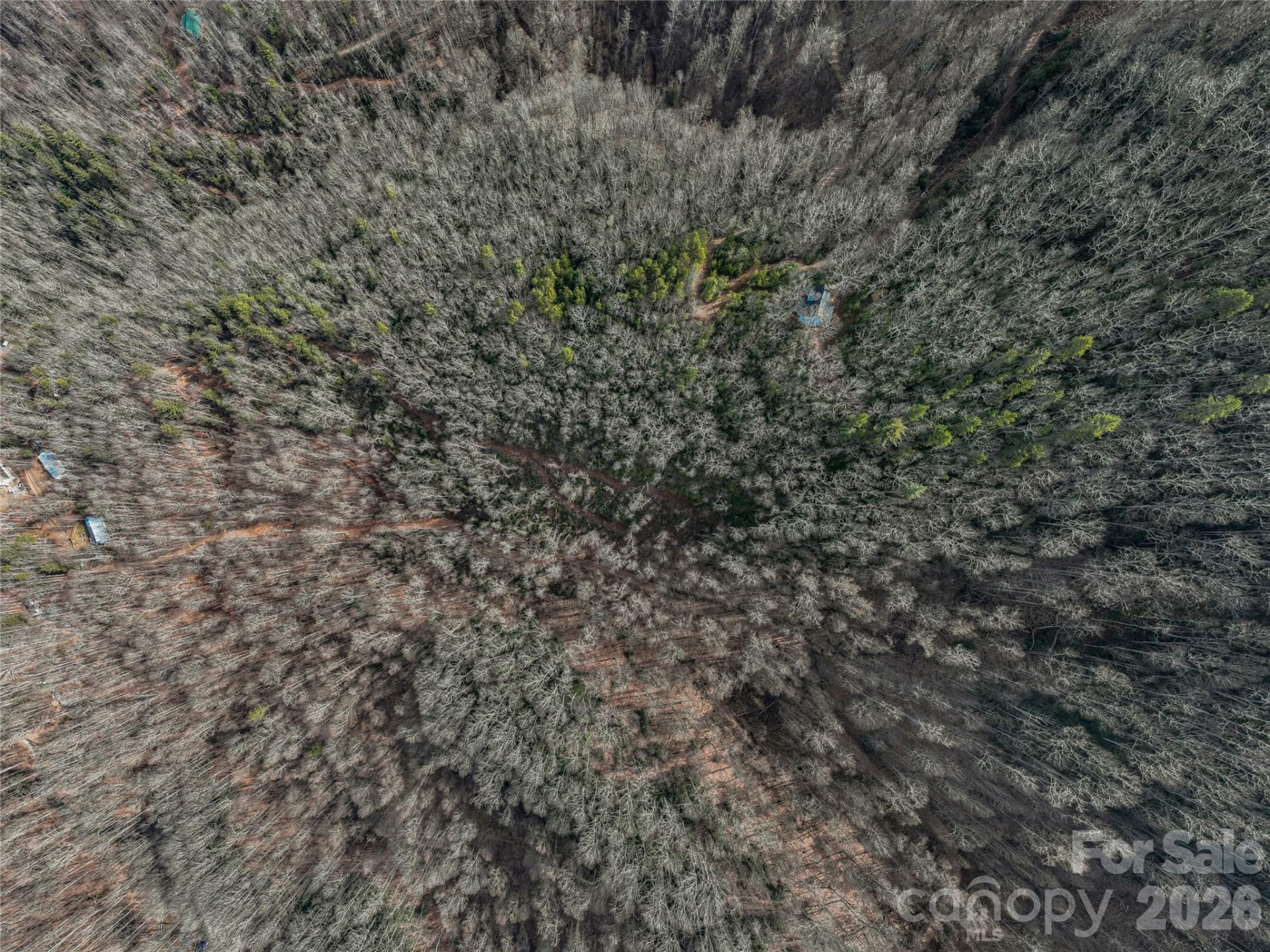 99999 High Top Mountain Road - Photo 15