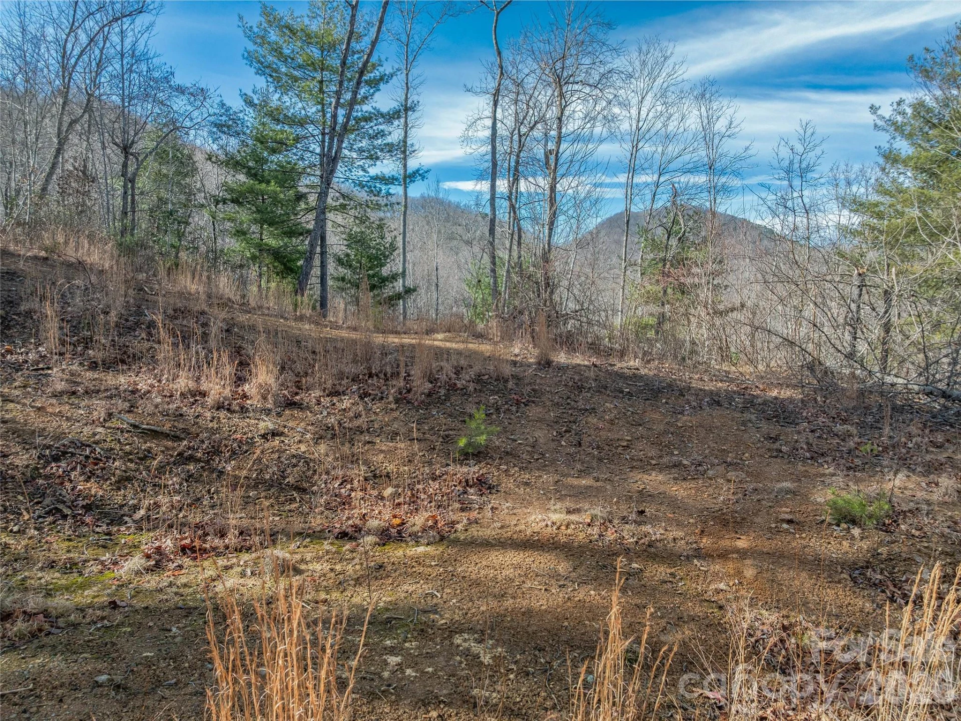 99999 High Top Mountain Road - Photo 3